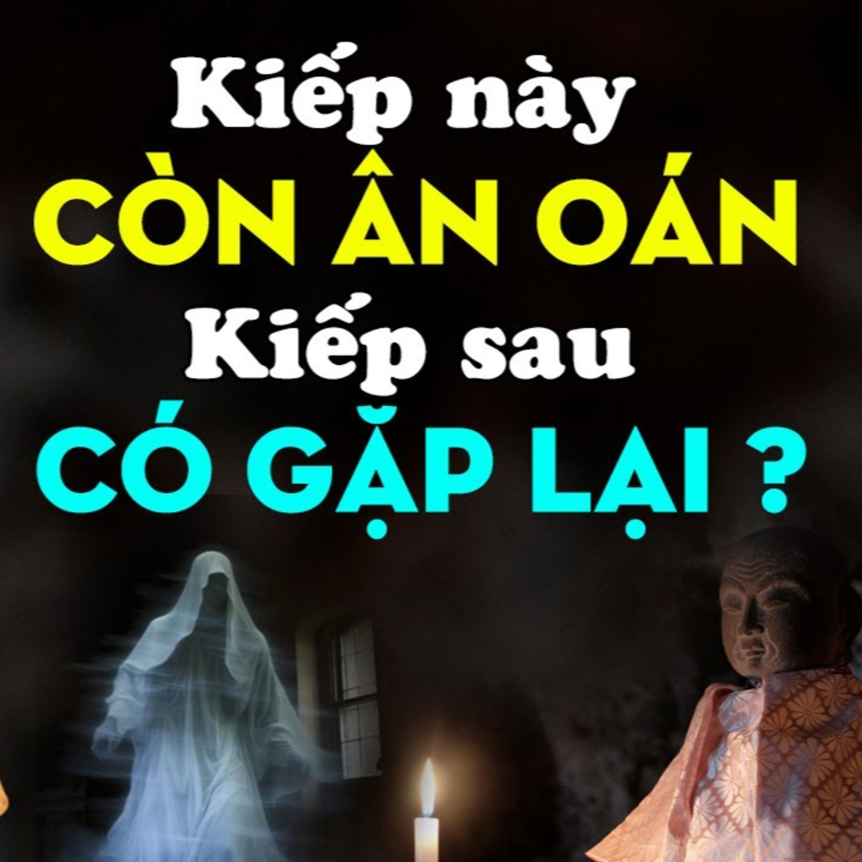 Kiếp này còn Ân Oán kiếp sau có Gặp Lại không? - Vấn Đáp Thầy Thích Pháp Hòa
