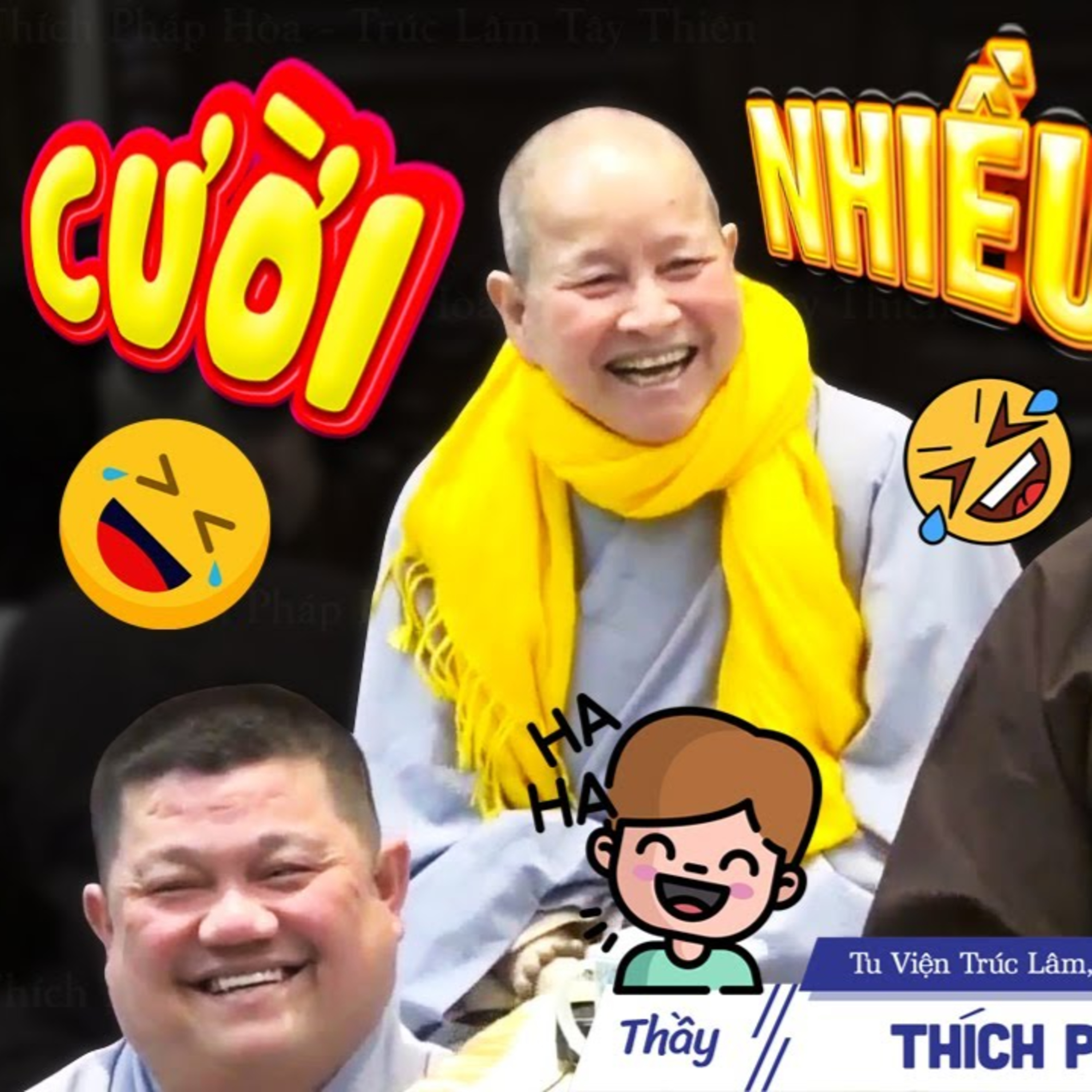 Chưa bao giờ Thầy giảng mà Phật Tử CƯỜI NHIỀU như thế này, Pháp Thoại Siêu Vui - Thầy Pháp Hòa
