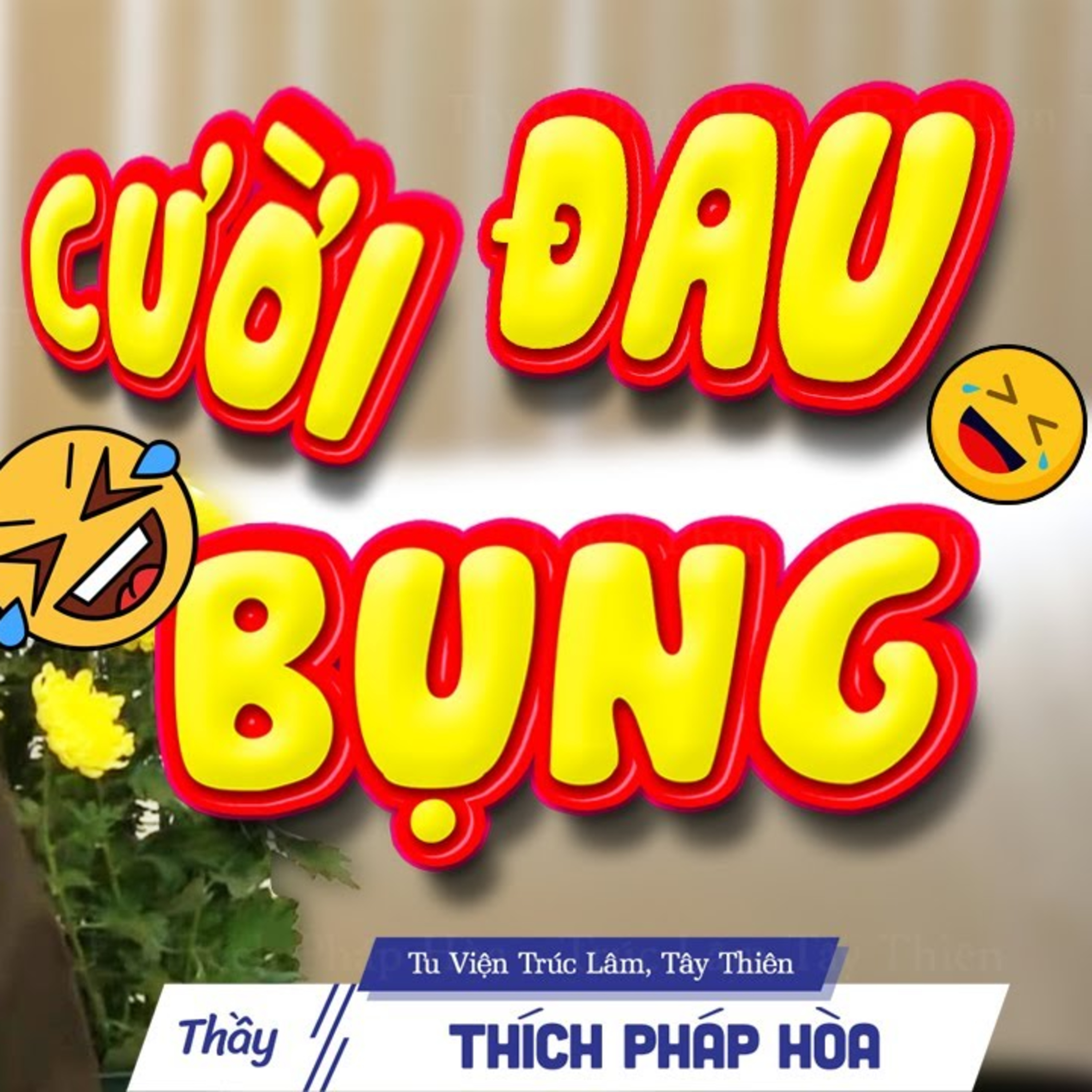 Sống Với Hiện Tại "nói thì dễ, làm thì khó" - Vấn Đáp Thực Tế Rất Hay cùng Thầy Pháp Hòa