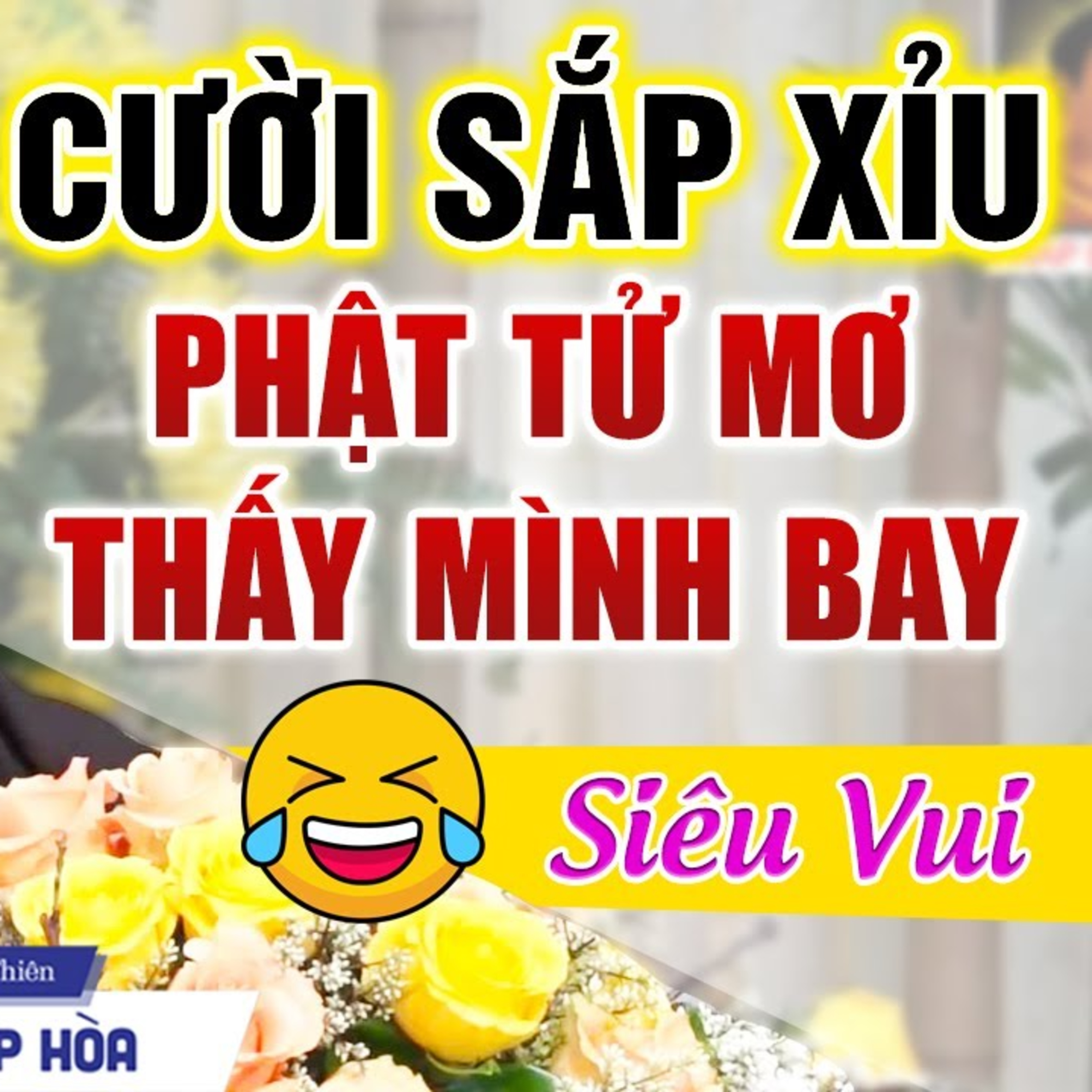 CƯỜI SẮP XỈU Phật Tử Chiêm Bao "Thấy Mình Bay" Và Cách Giải Đáp Siêu Vui Của Thầy Thích Pháp Hòa