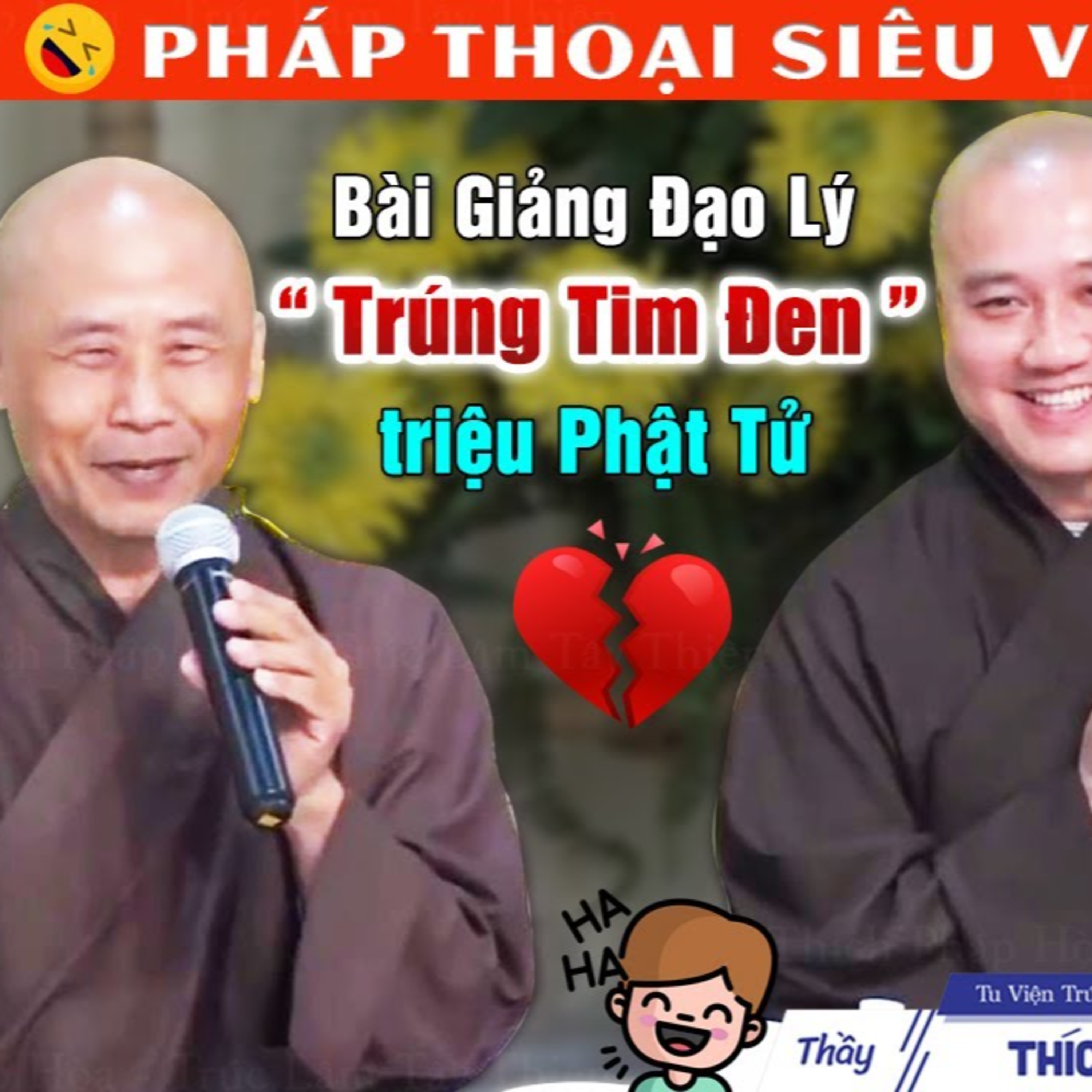 Thầy giảng đạo lý Rất Vui "trúng tim đen" tâm lý Phật Tử ai cũng Cười Toe Tét - Thầy Pháp Hòa