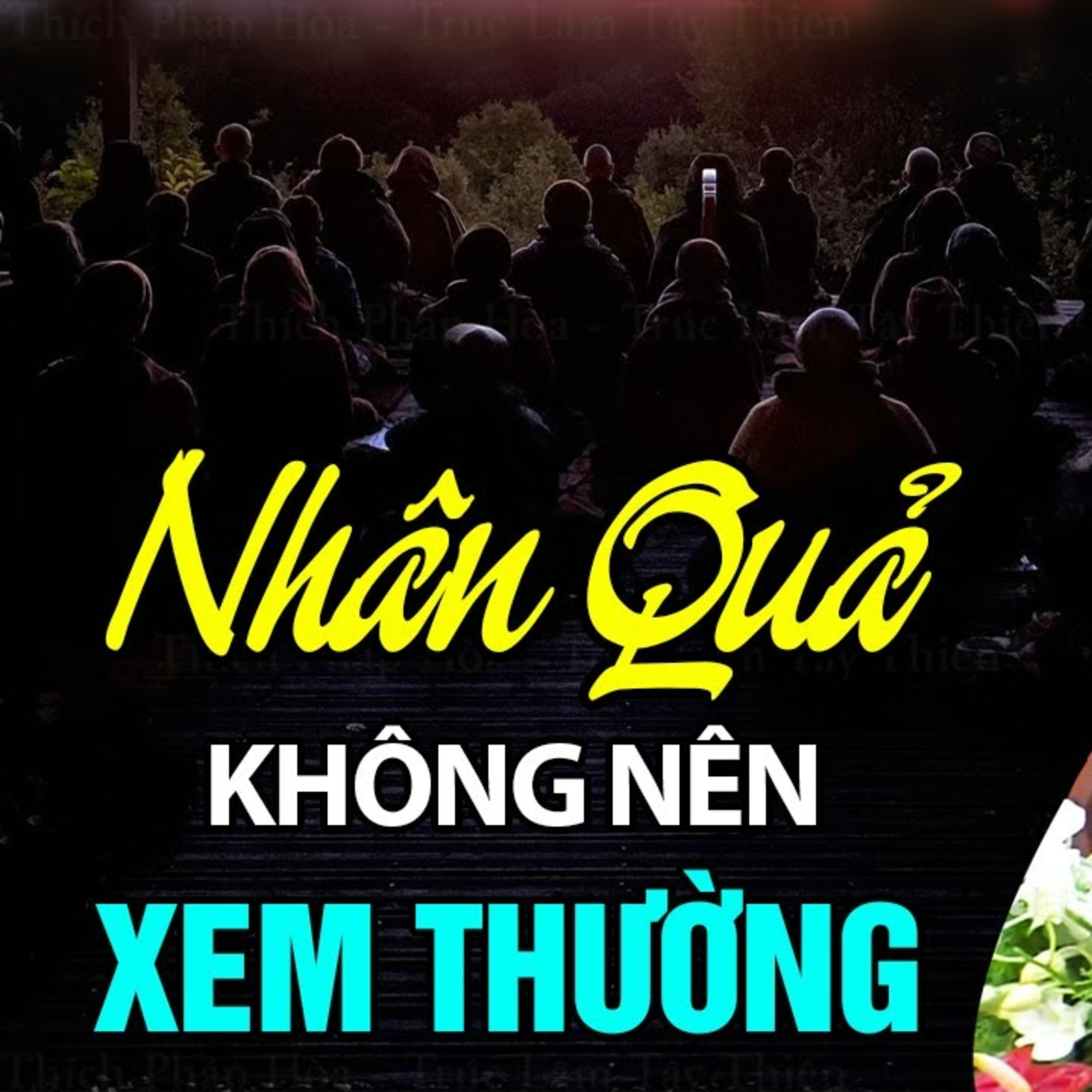 Nhân quả là bảng chỉ đường đưa con người tìm về thiện lương - Thầy Thích Pháp Hòa