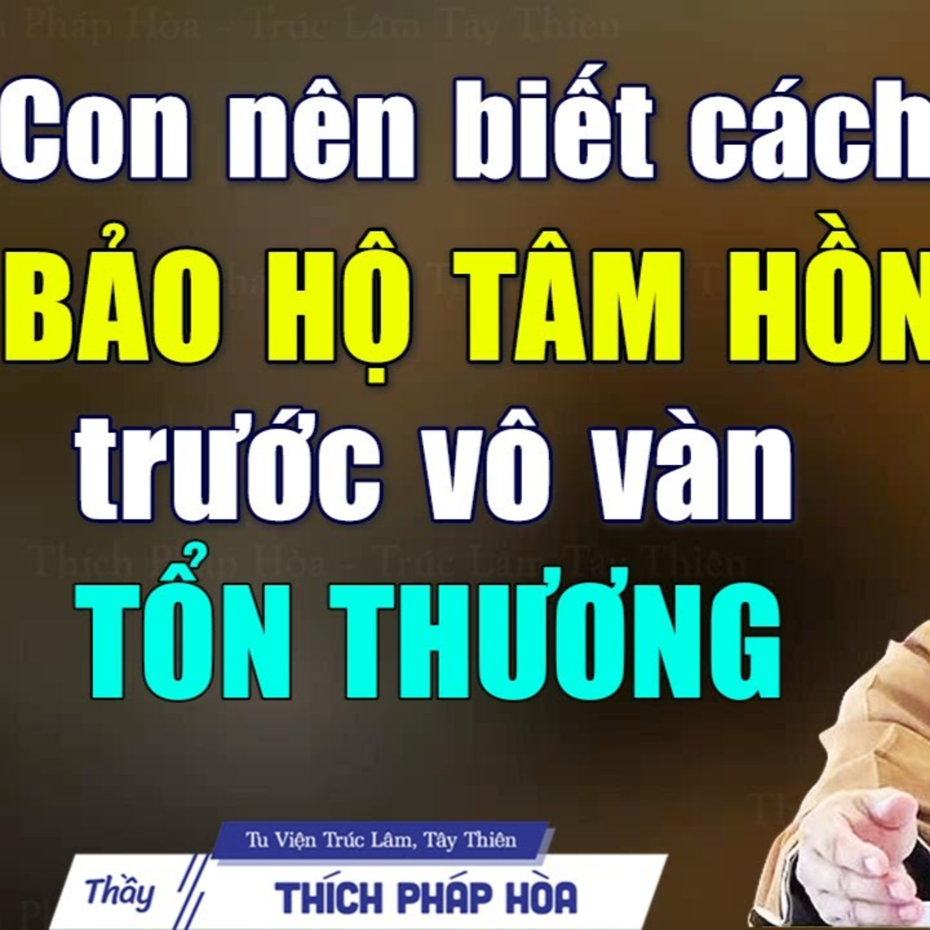 Học cách bảo hộ tâm hồn khi gặp những tổn thương trong cuộc đời - Thầy Thích Pháp Hòa