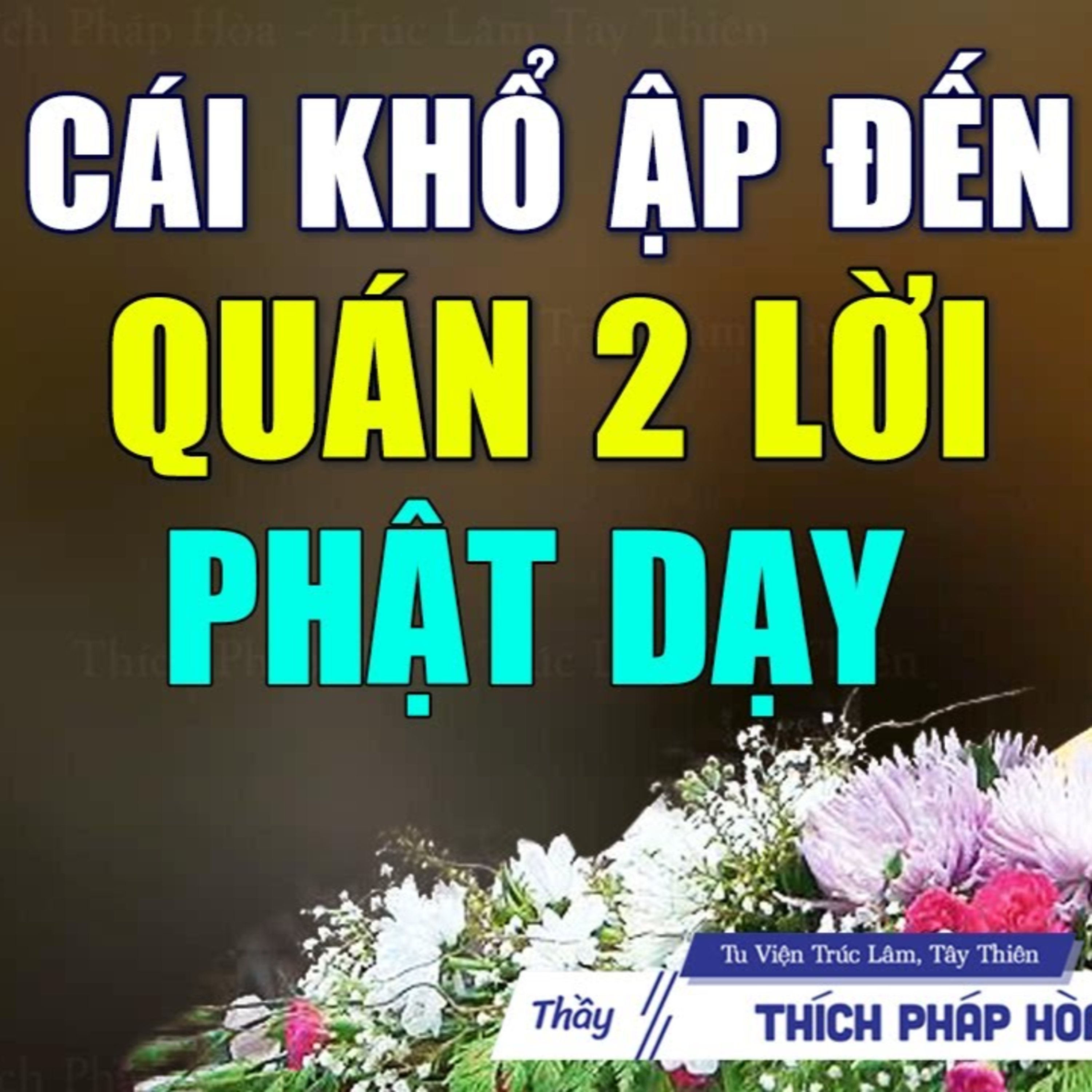 Khi cái khổ ập đến Phật Dạy Quán 2 Điều Này tâm được thanh tịnh, nhẹ lòng dễ buông - Thầy Pháp Hòa.