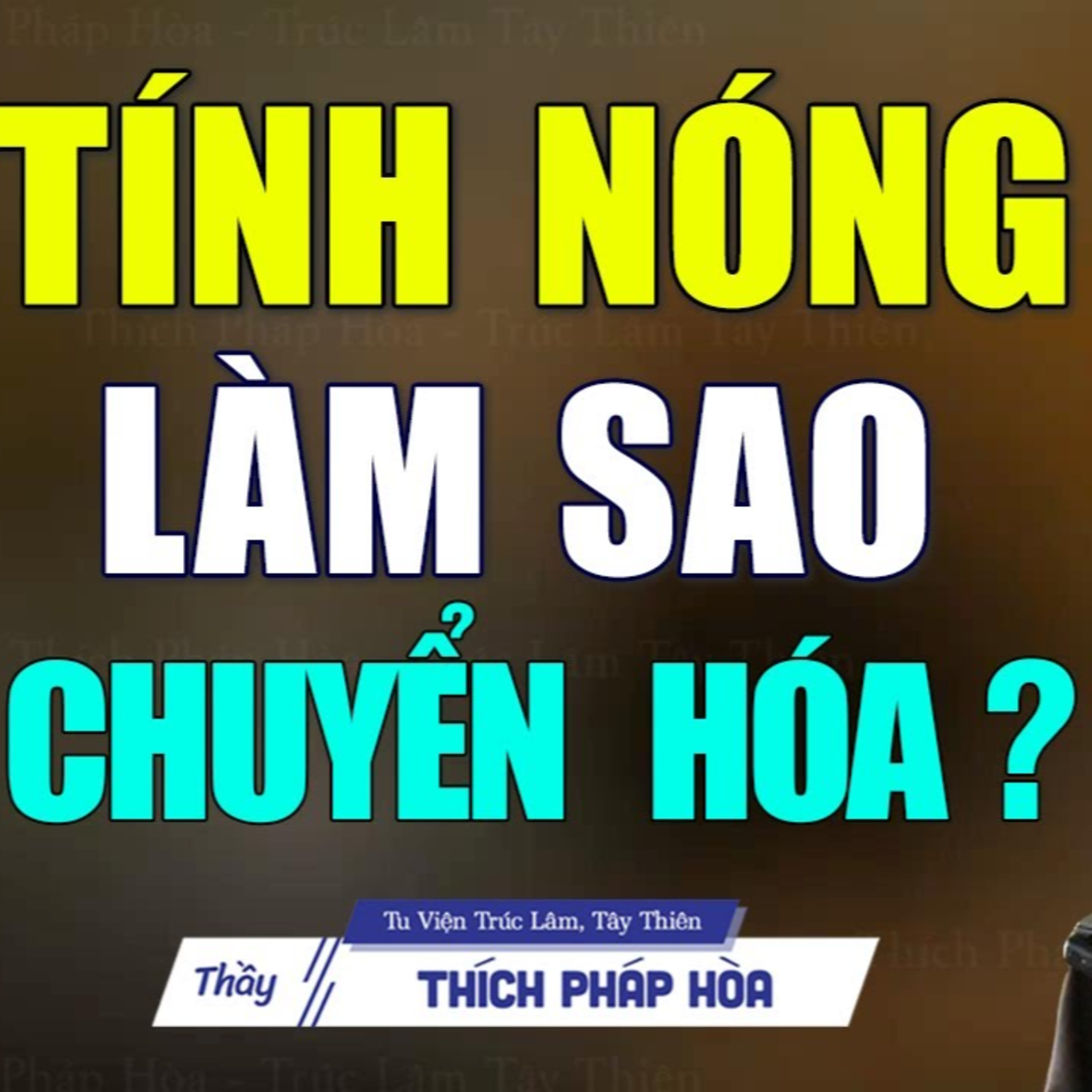 TÍNH NÓNG, làm sao kiềm chế và chuyển nghiệp_ - Thầy Thích Pháp Hòa