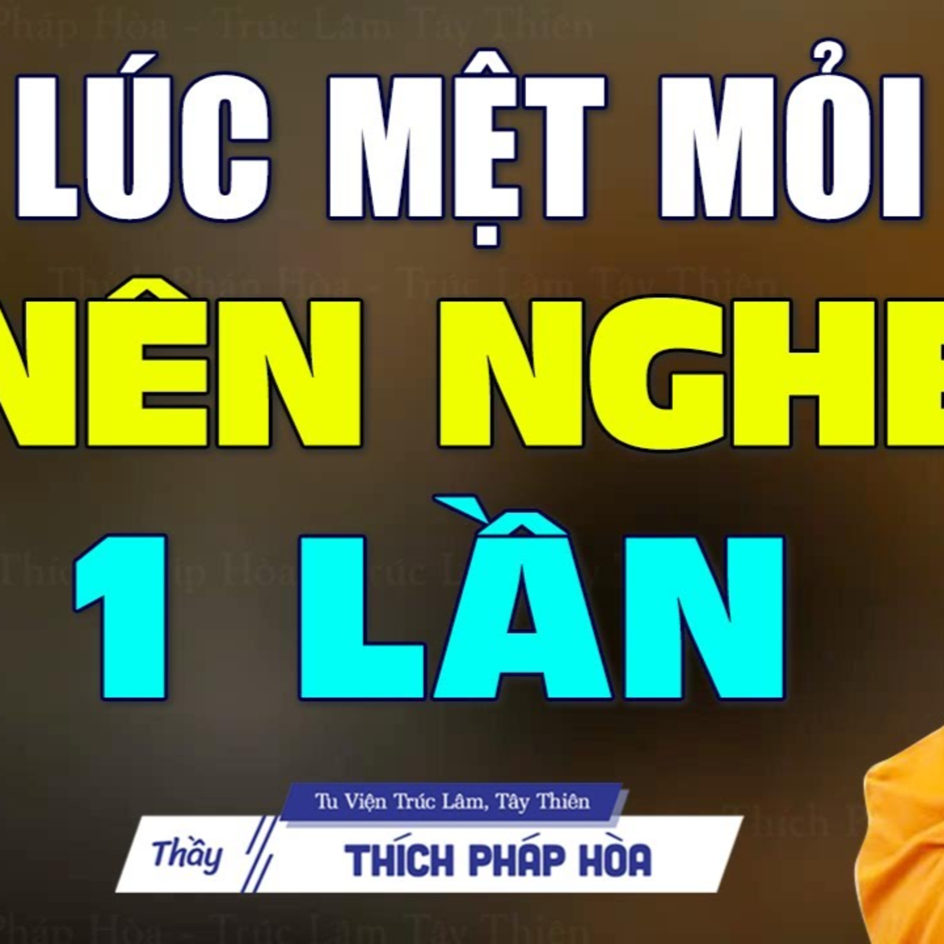 Đôi lúc cảm thấy mệt mỏi thì đây là phương thuốc quý dành cho tâm hồn bạn - Thầy Thích Pháp Hòa