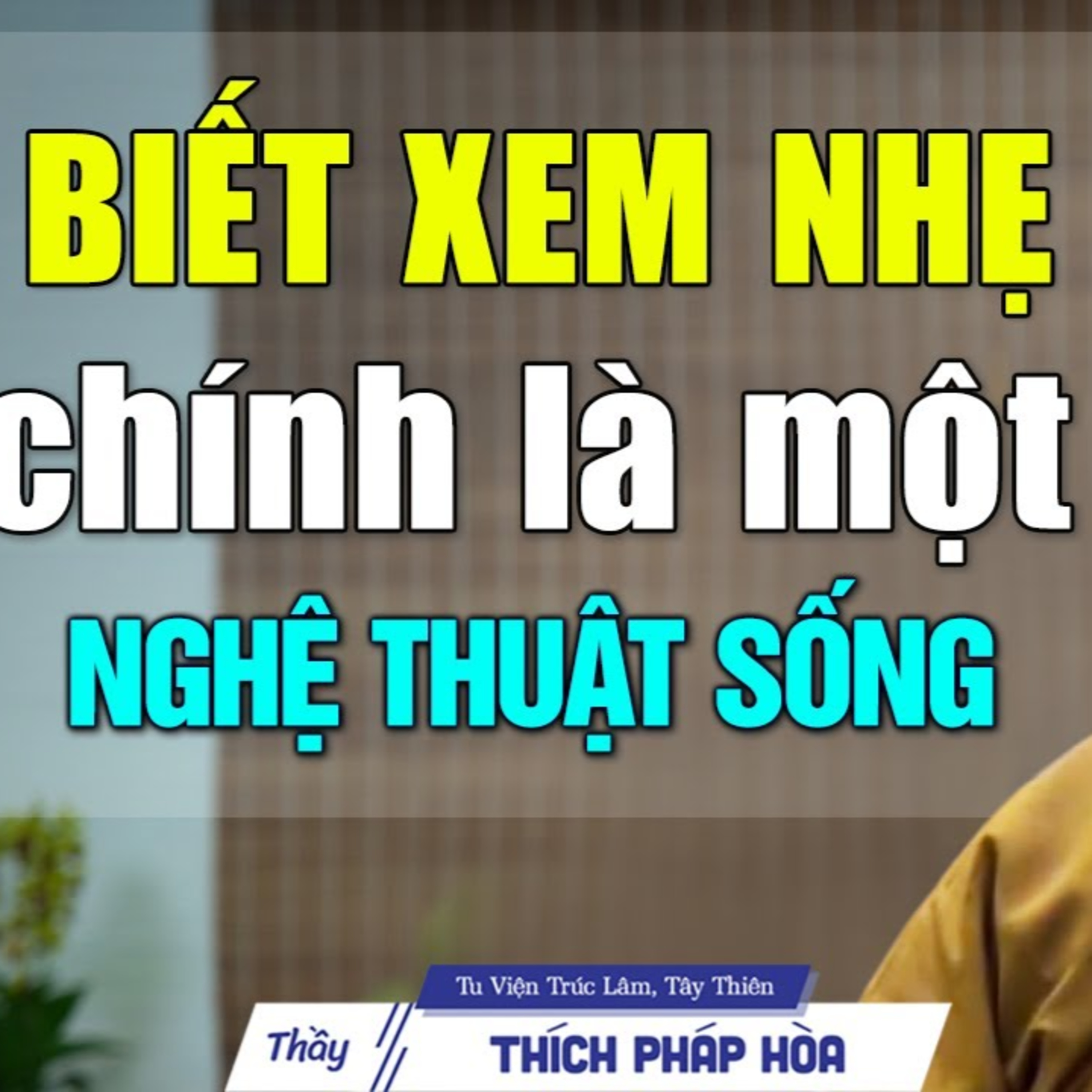 Biết xem nhẹ mọi chuyện là một nghệ thuật sống - Vấn Đáp Thầy Thích Pháp Hòa