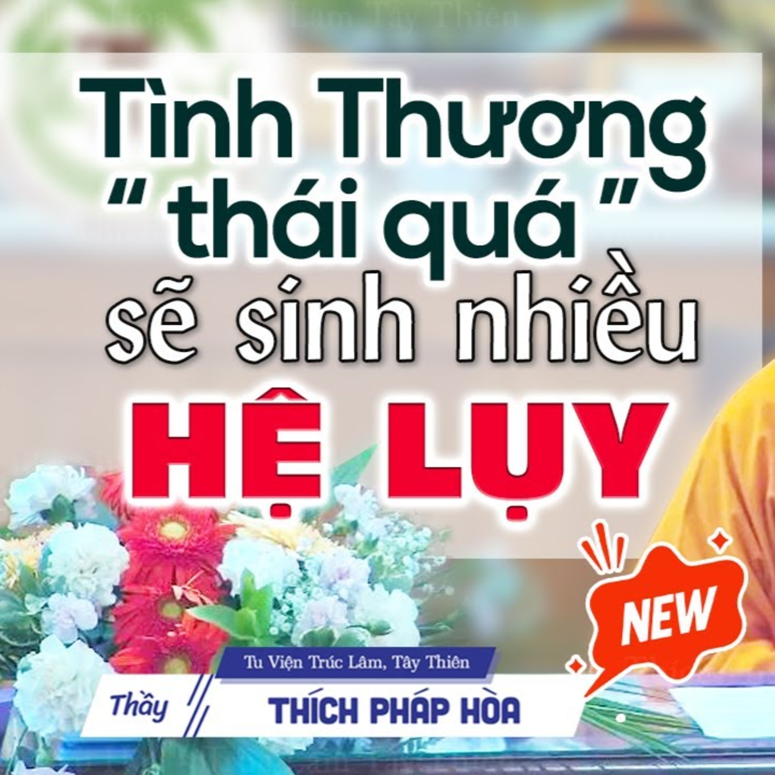 Tình thương thái quá là một cái khổ - Thầy Thích Pháp Hòa (mới 2025)