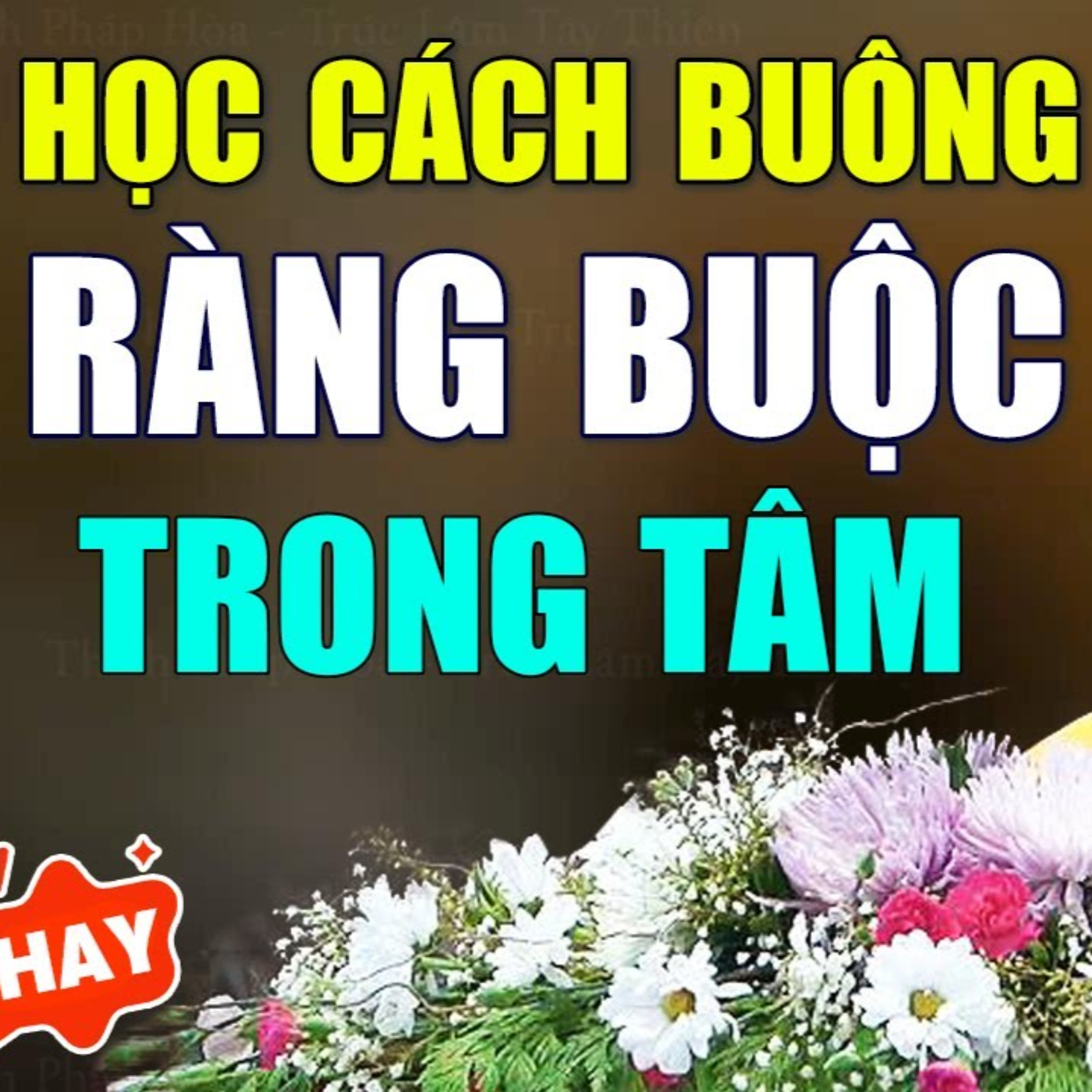 Học cách Buông những Ràng Buộc trong tâm thức - Thầy Thích Pháp Hòa