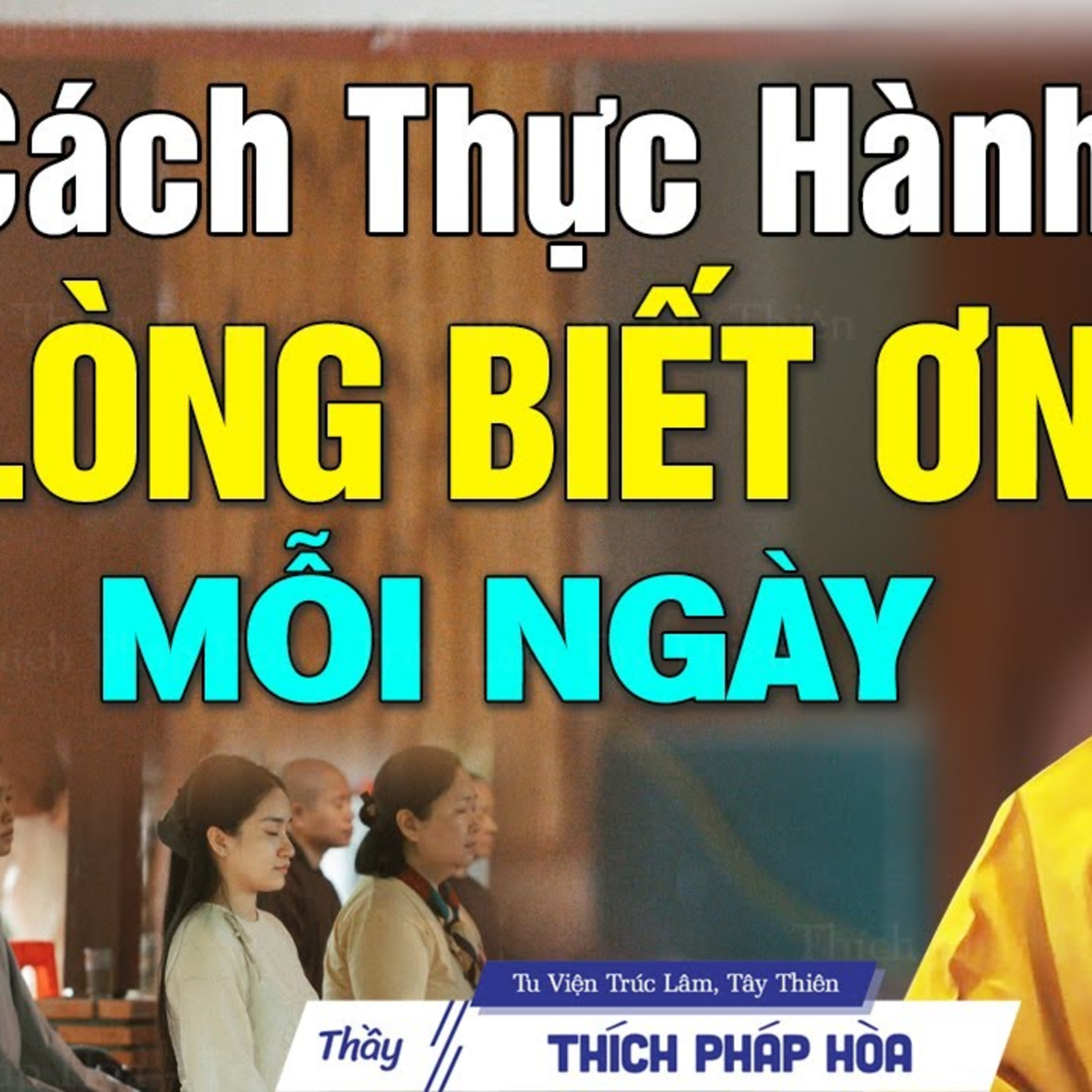Cách thực hành lòng biết ơn để sống sâu sắc hơn - Thầy Thích Pháp Hòa