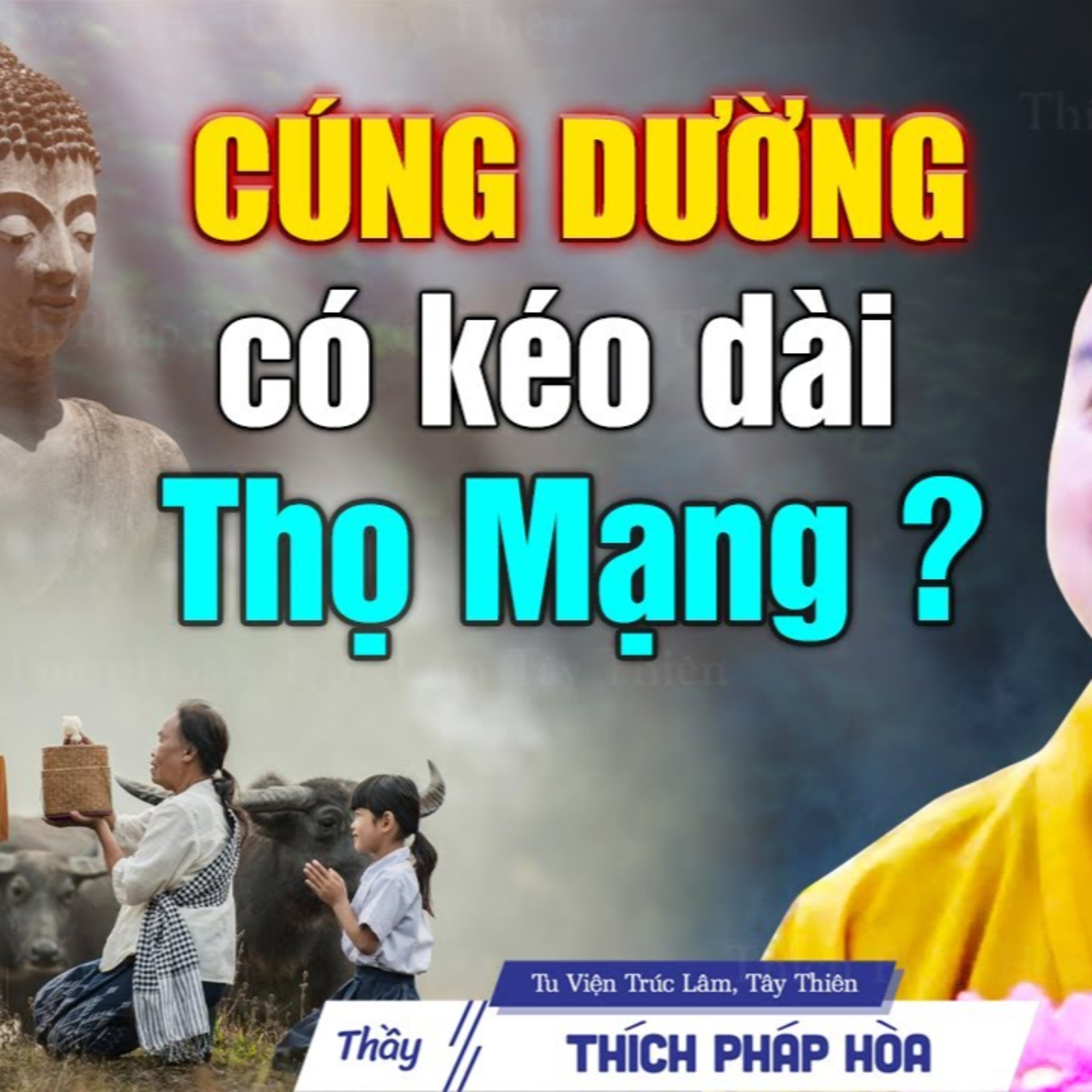 CÚNG DƯỜNG có kéo dài được Thọ Mạng? - Vấn Đáp Thầy Thích Pháp Hòa
