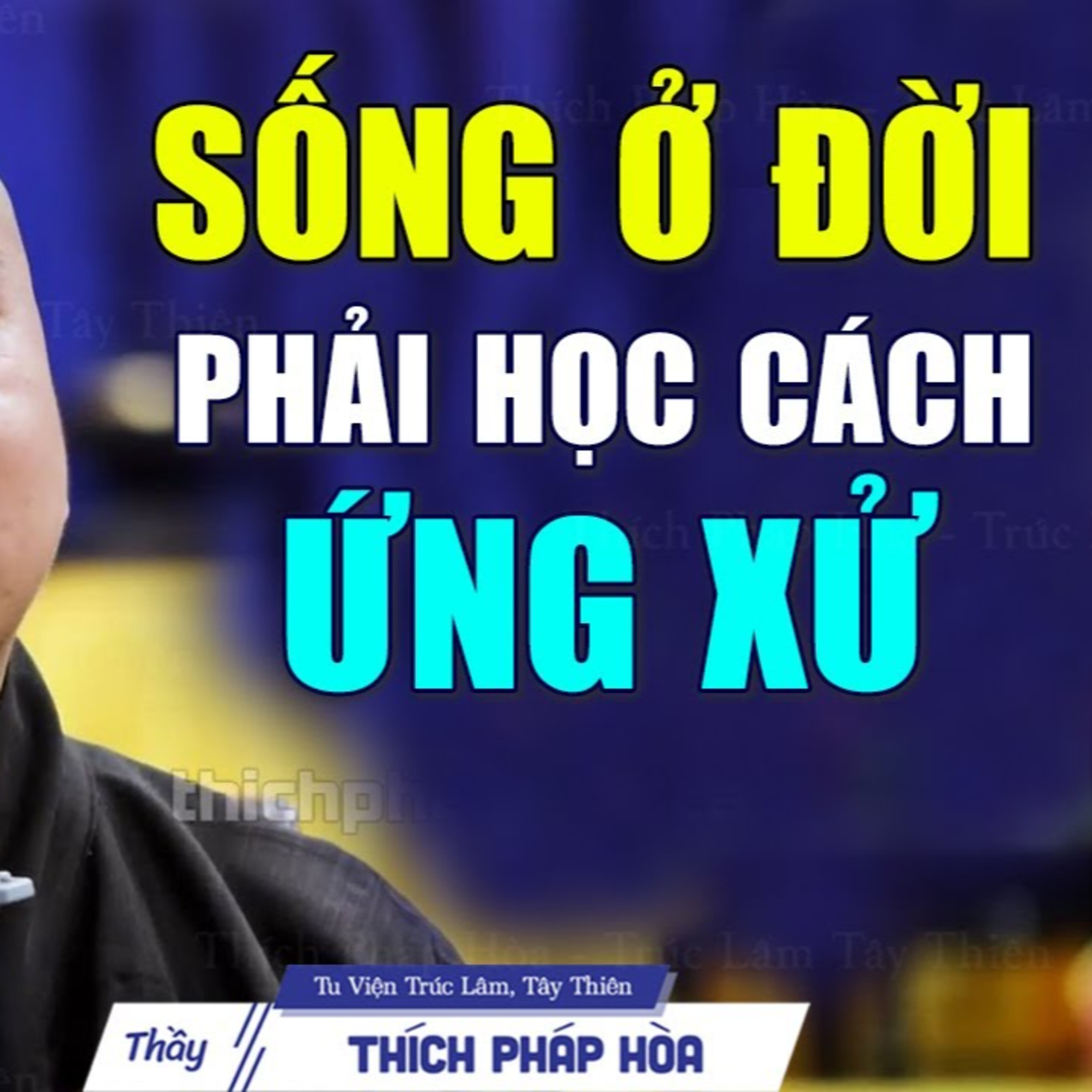 Sống ở đời phải biết cách ứng xử - Thầy Pháp Hòa (pháp hay nên nghe)