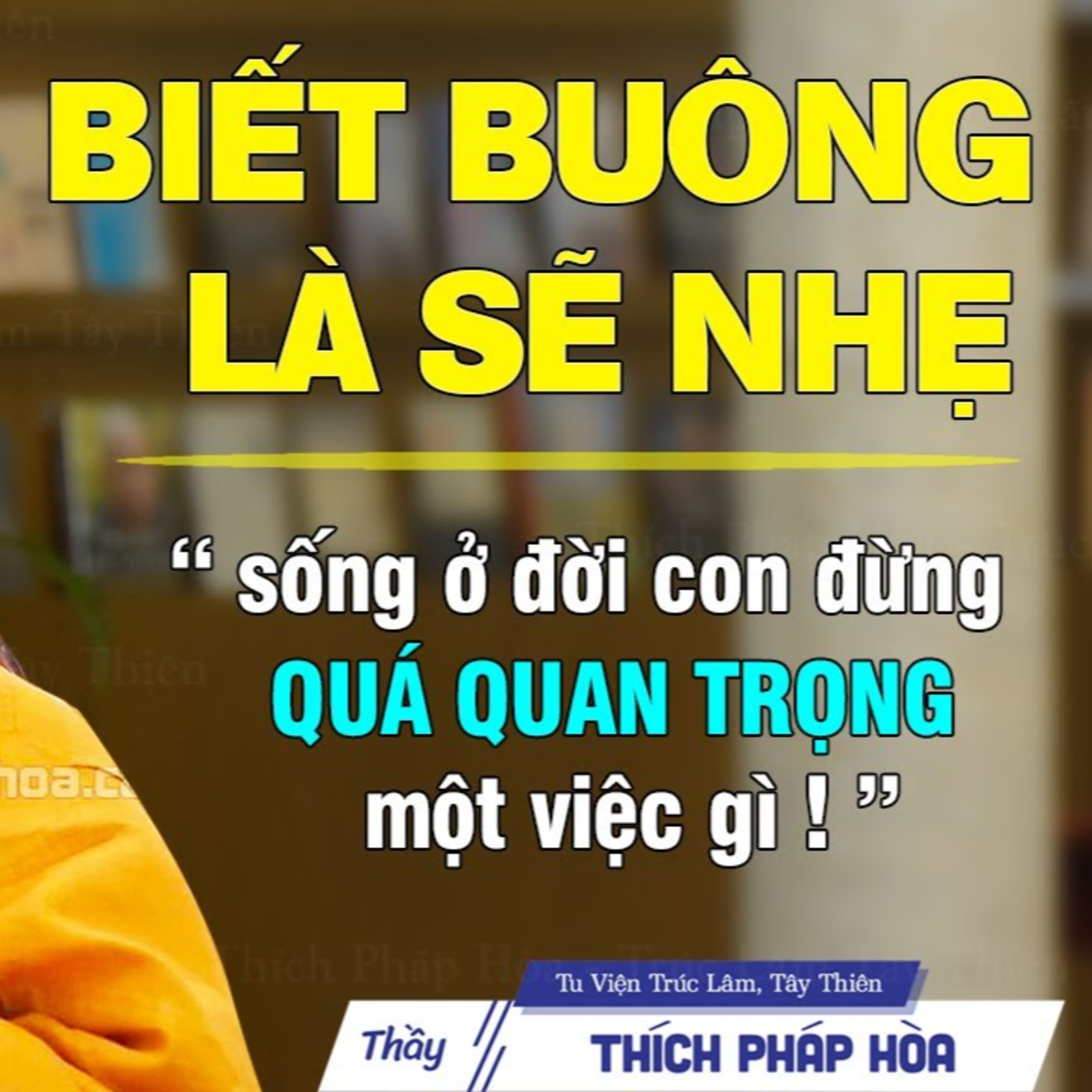 Biết Buông Rồi Sẽ Nhẹ "ở đời đừng quá quan trọng việc gì" - Thầy Thích Pháp Hòa