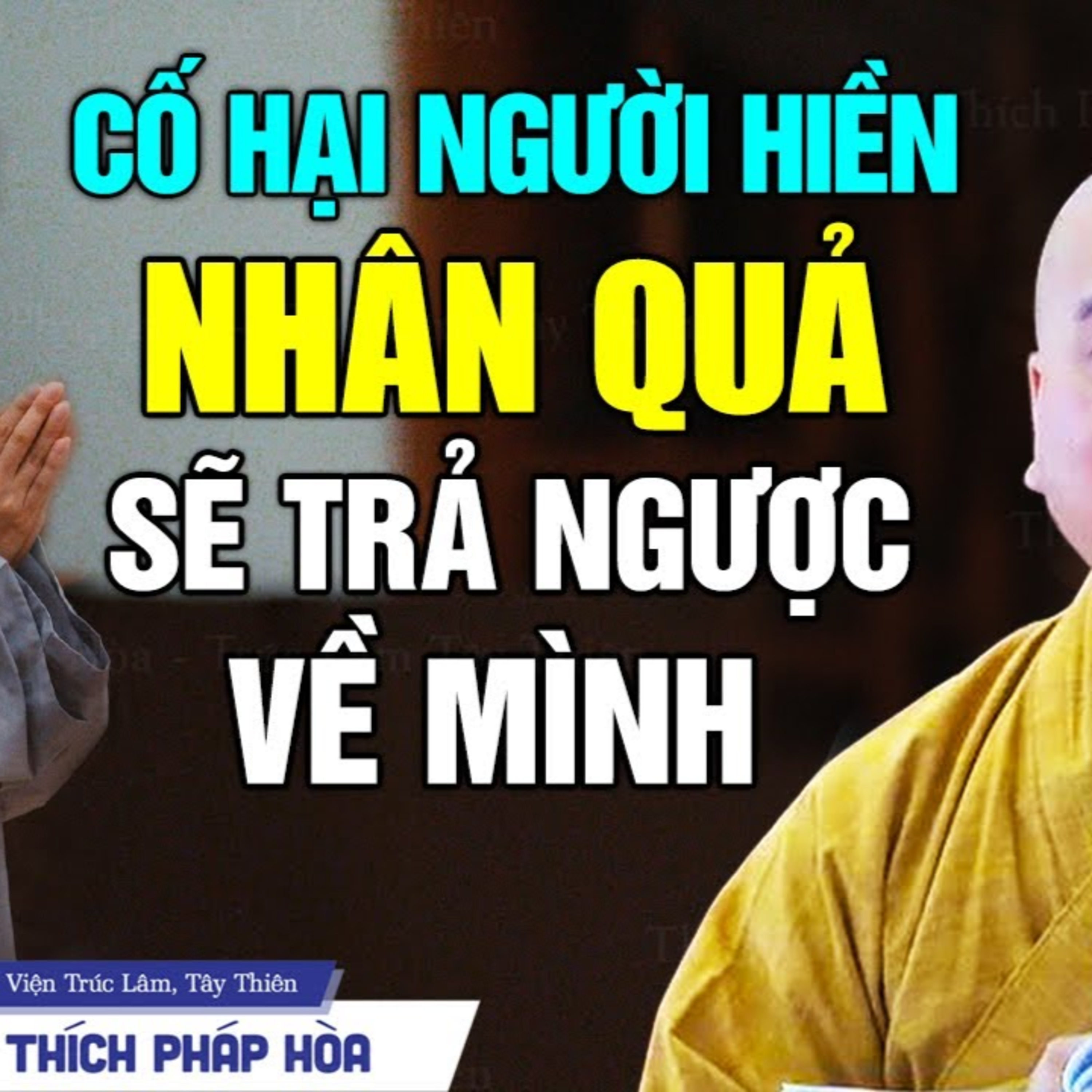 Cố hại người thiện, nhân quả trả ngược về mình - Thầy Thích Pháp Hòa