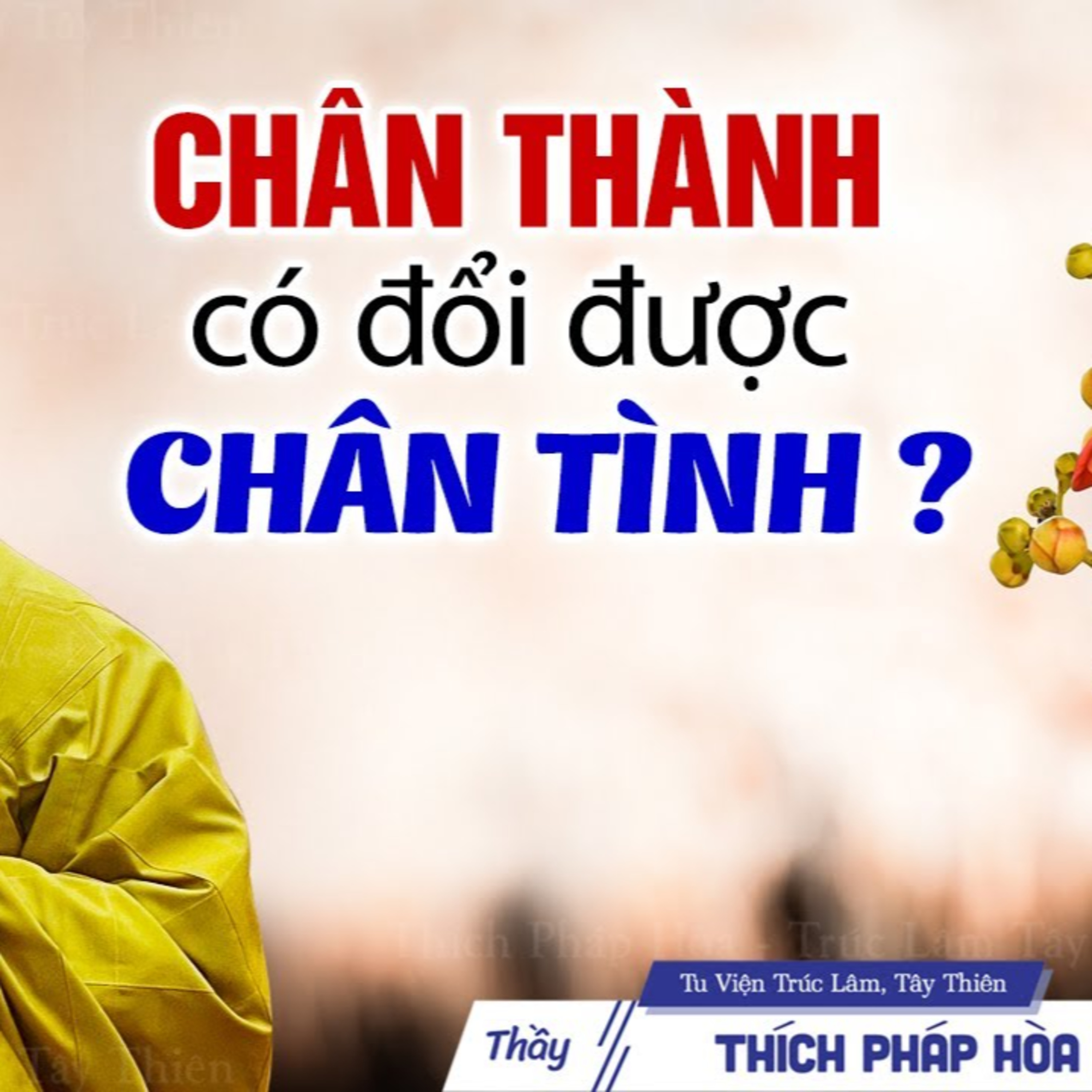 Chân thành có đổi được chân tình? - Thầy Thích Pháp Hòa
