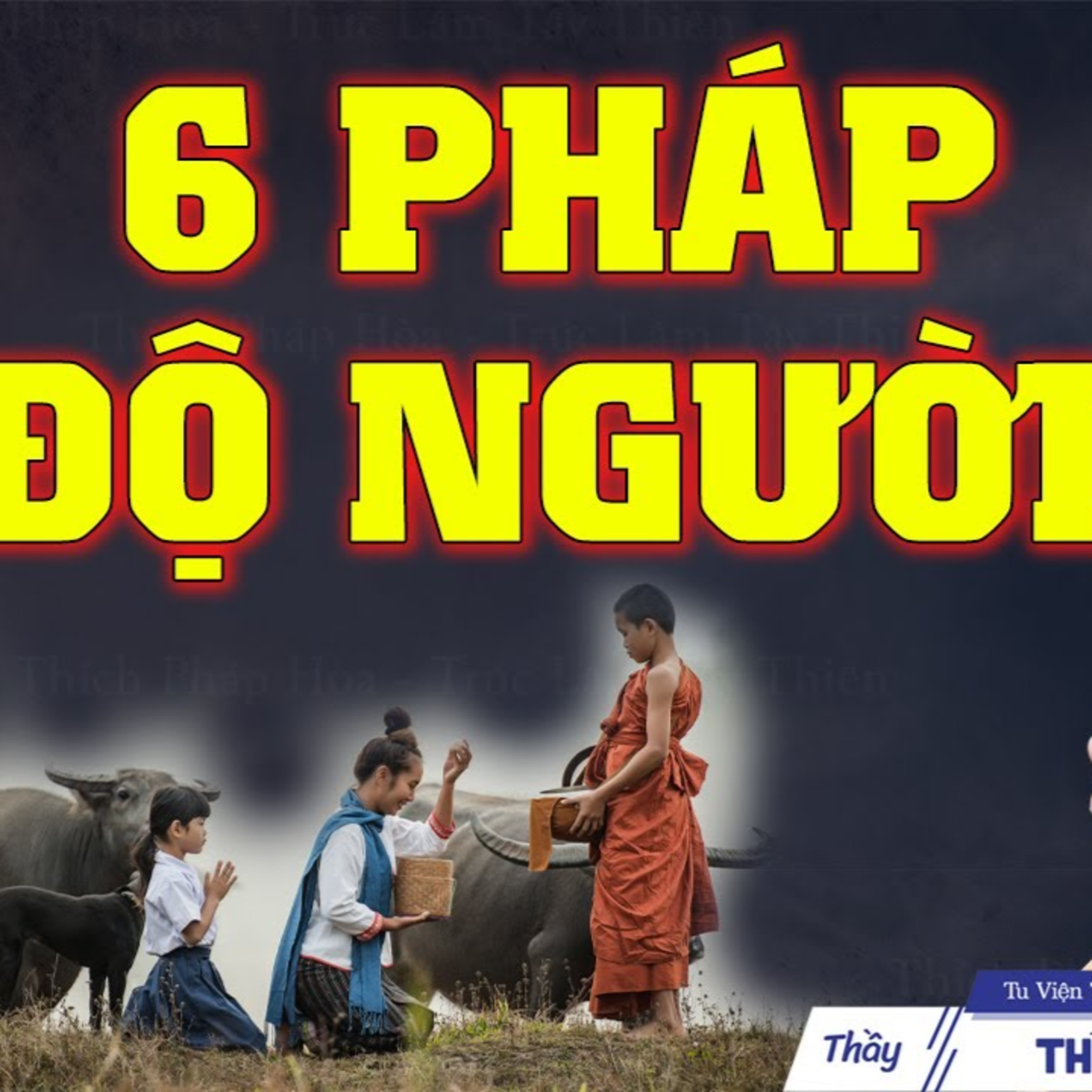 6 phương pháp Độ Người theo lời Phật dạy - Thầy Thích Pháp Hòa