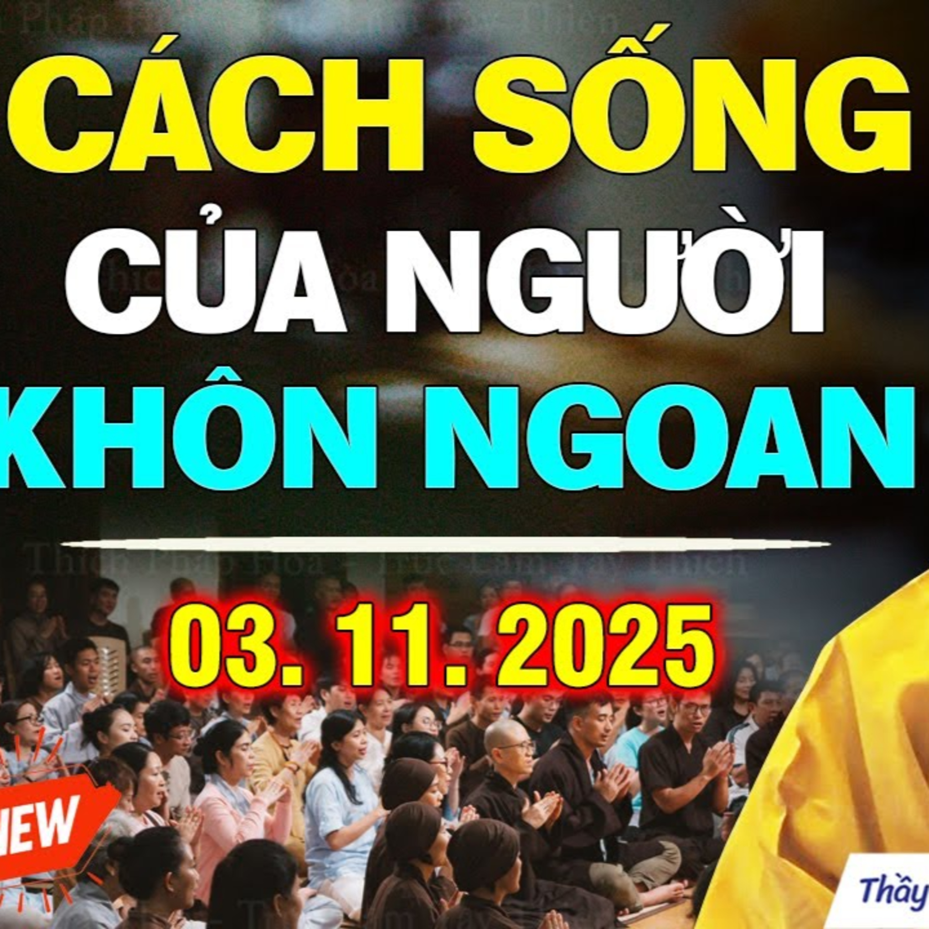 Người khôn biết tìm ĐƯỜNG SÁNG mà đi - Thầy Thích Pháp Hòa (mới 11.2025)
