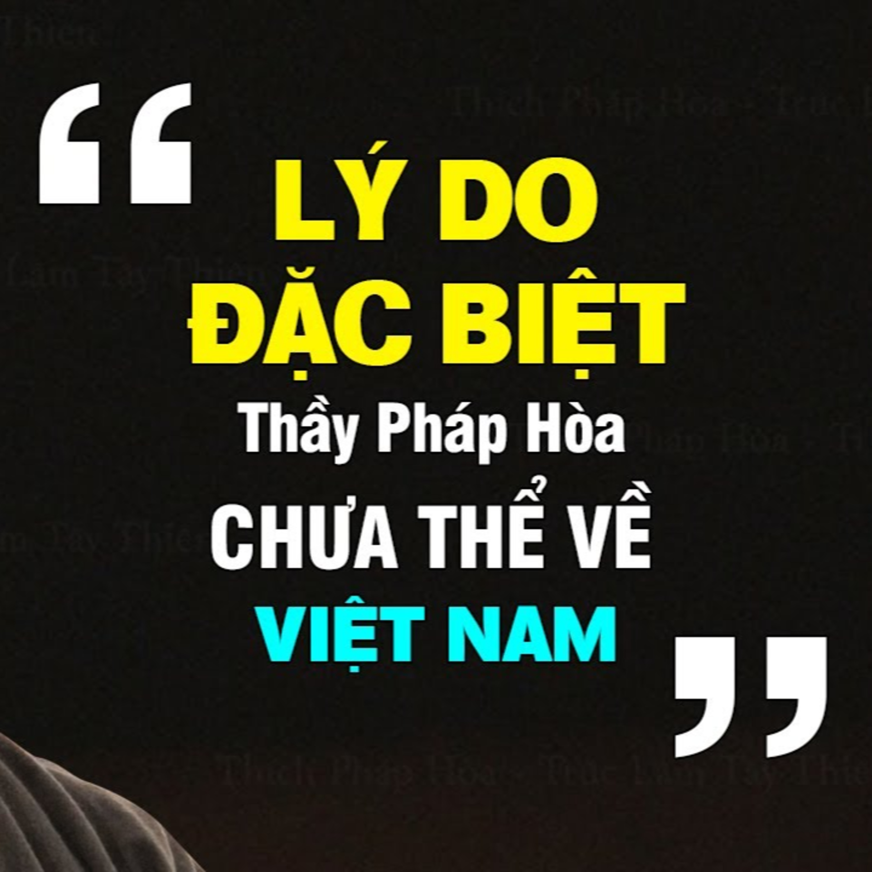 Lí do ĐẶC BIỆT Thầy Pháp Hòa chưa thể về Việt Nam