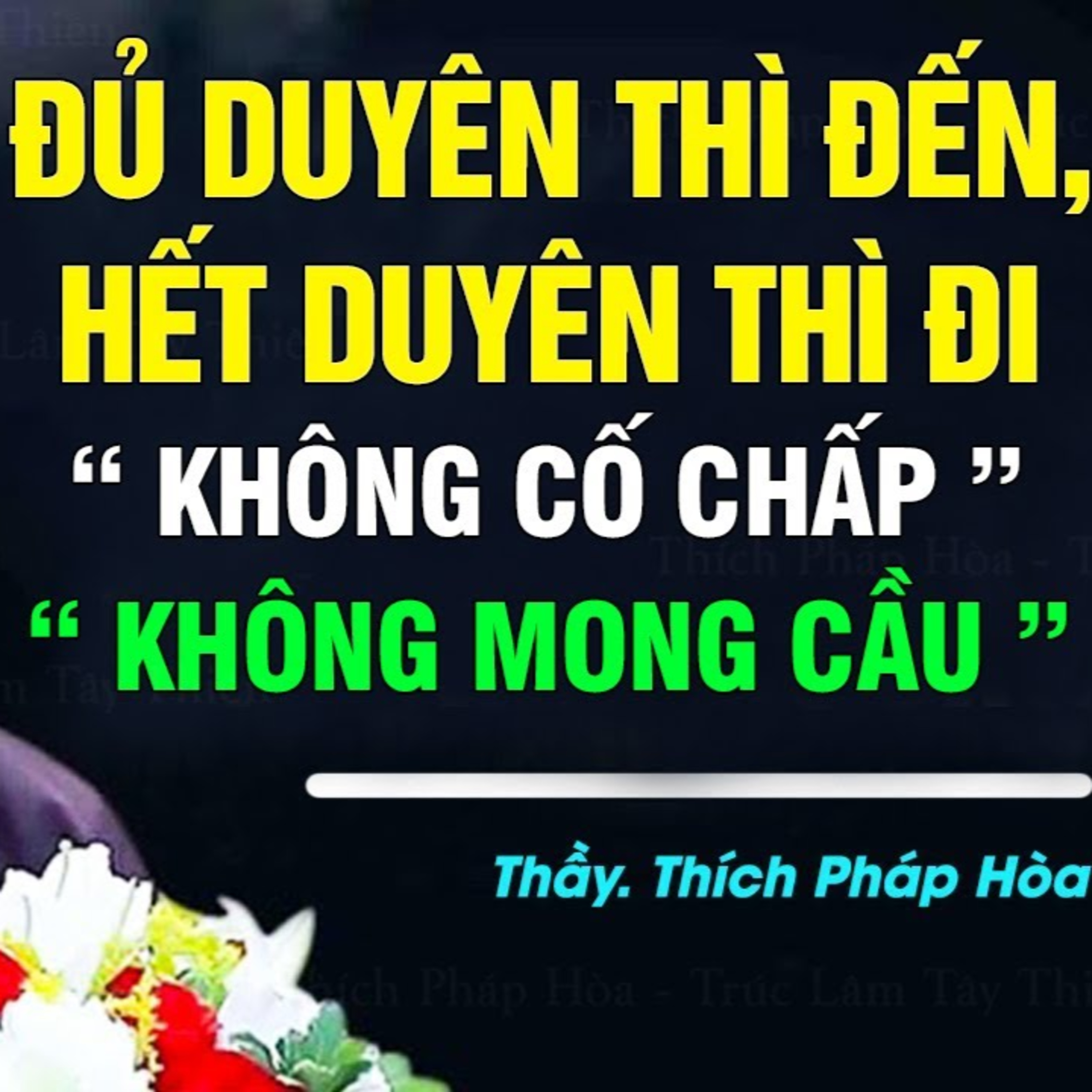 Đủ duyên thì đến, hết duyên rời đi, không cố chấp không mong cầu "lòng ắt được an" - Thầy Pháp Hòa
