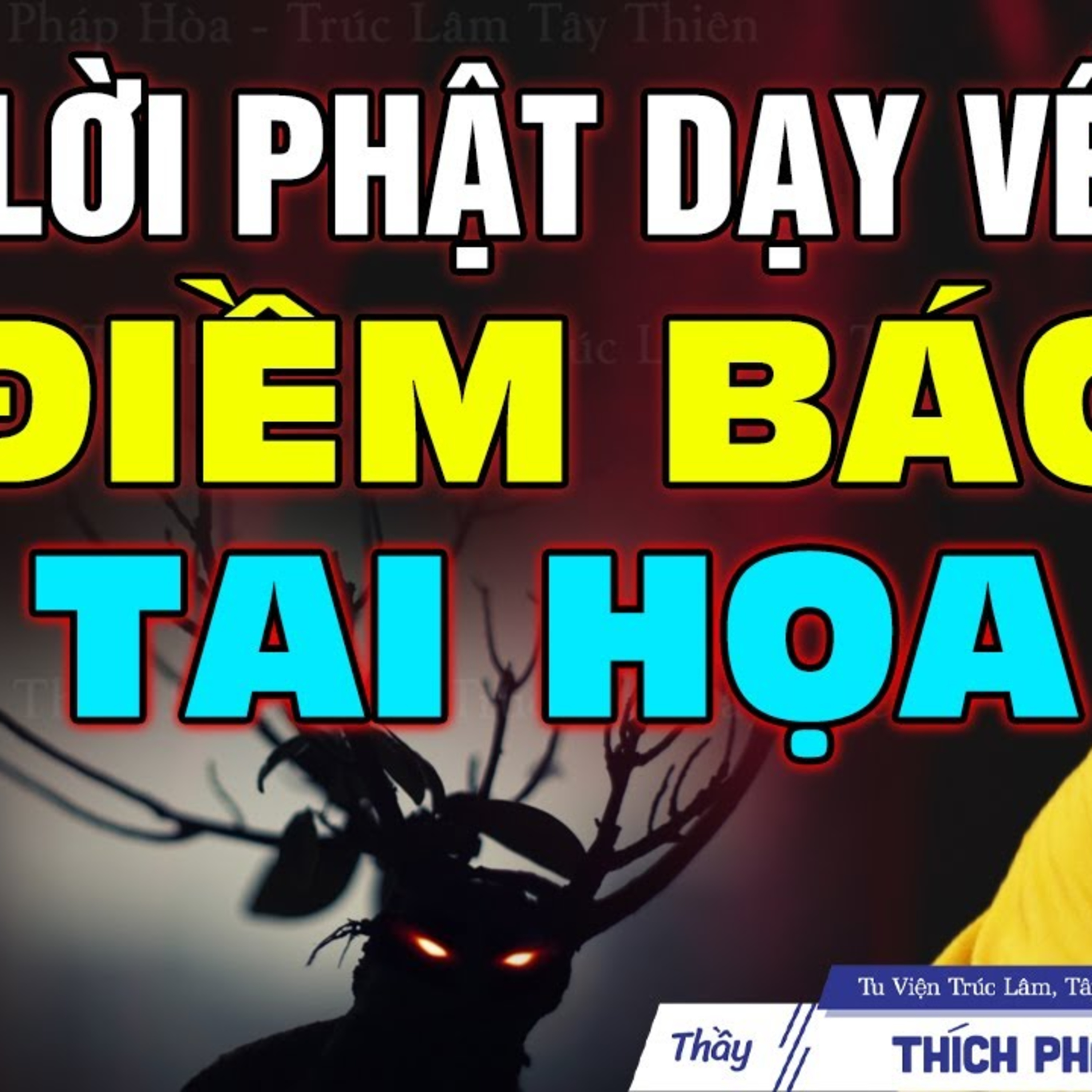 Lời Phật Dạy Rất Hay Về Những Điềm Báo Tai Họa - Thầy Thích Pháp Hòa