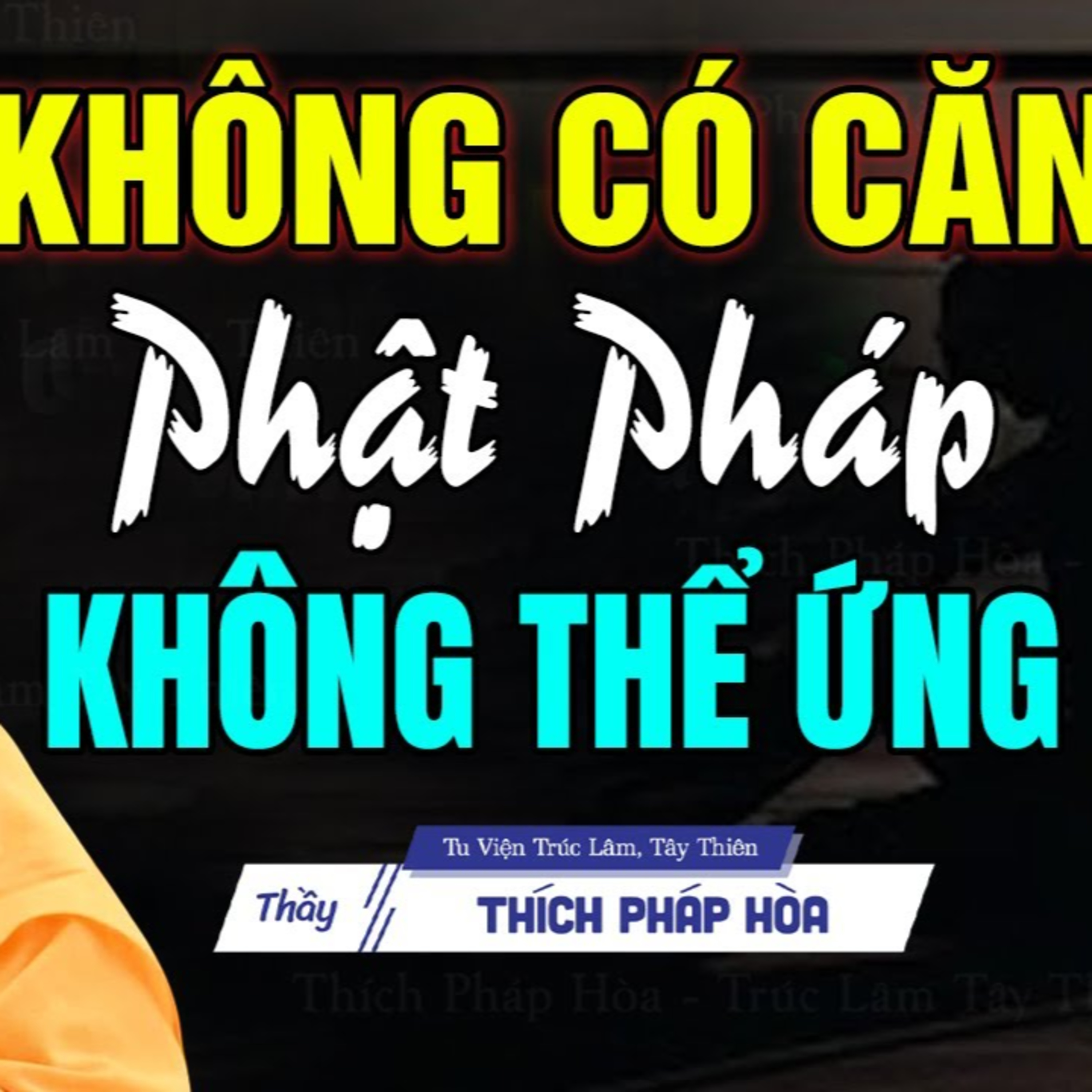 Không có Căn Lành phật pháp không thể Ứng - Vấn Đáp Thầy Thích Pháp Hòa