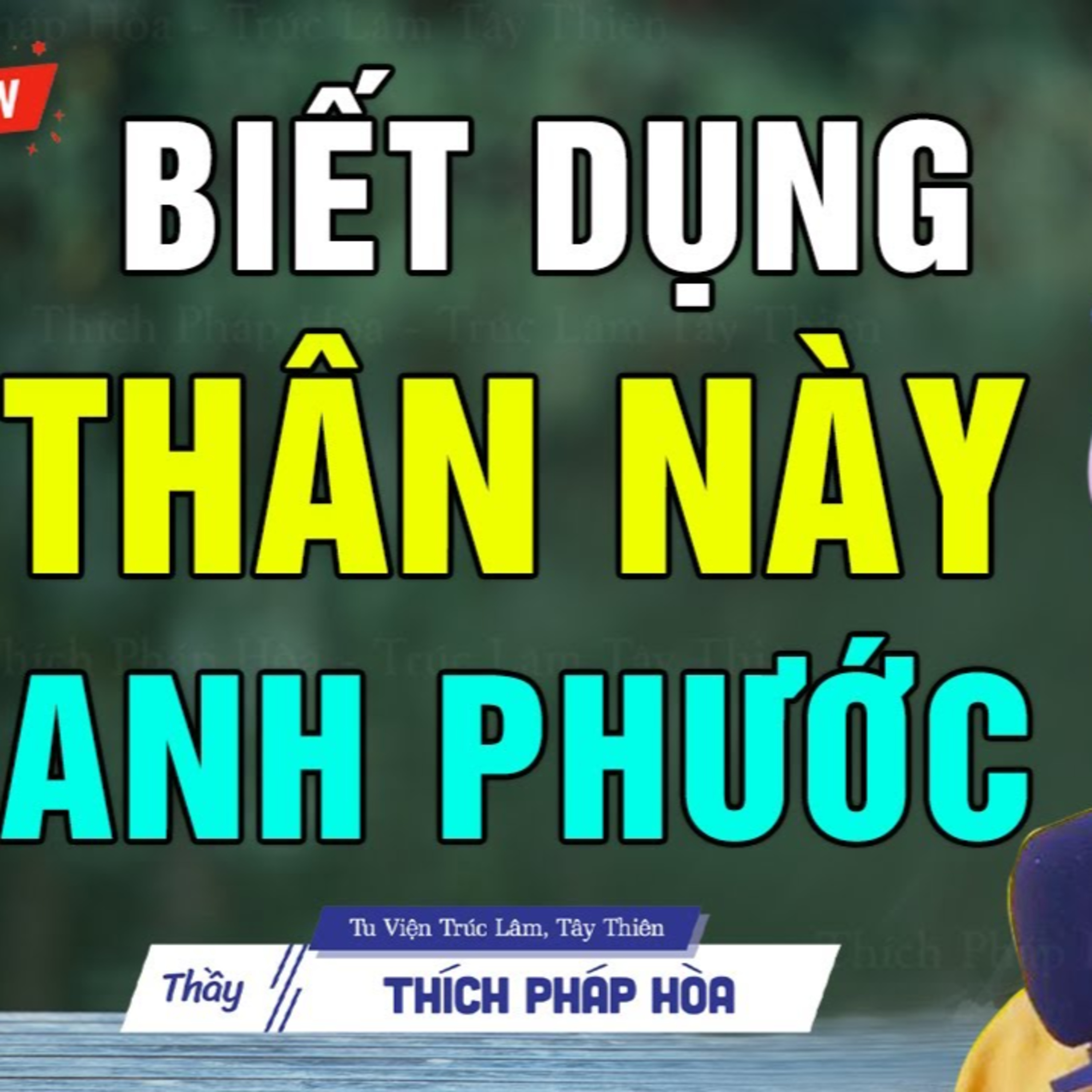 Biết dụng đời này cho đúng - Thầy Thích Pháp Hòa (mới 2025)