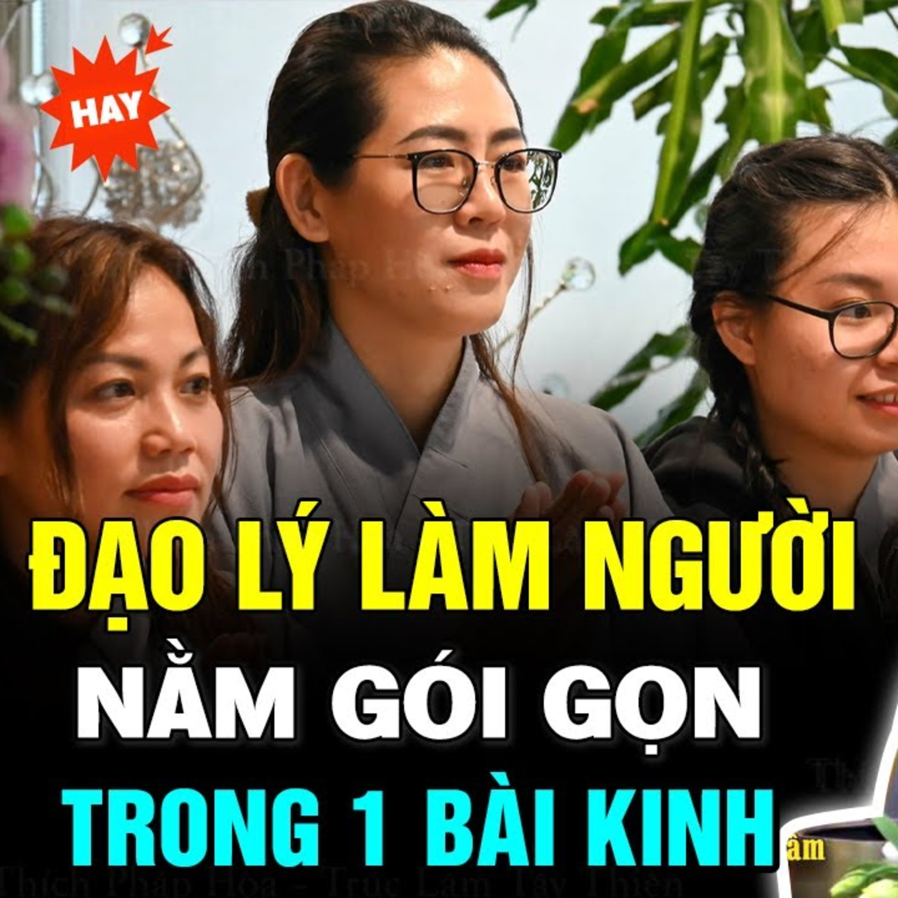 Lời Phật Dạy đạo làm người gói gọn trong một bài kinh - Thầy Thích Pháp Hòa