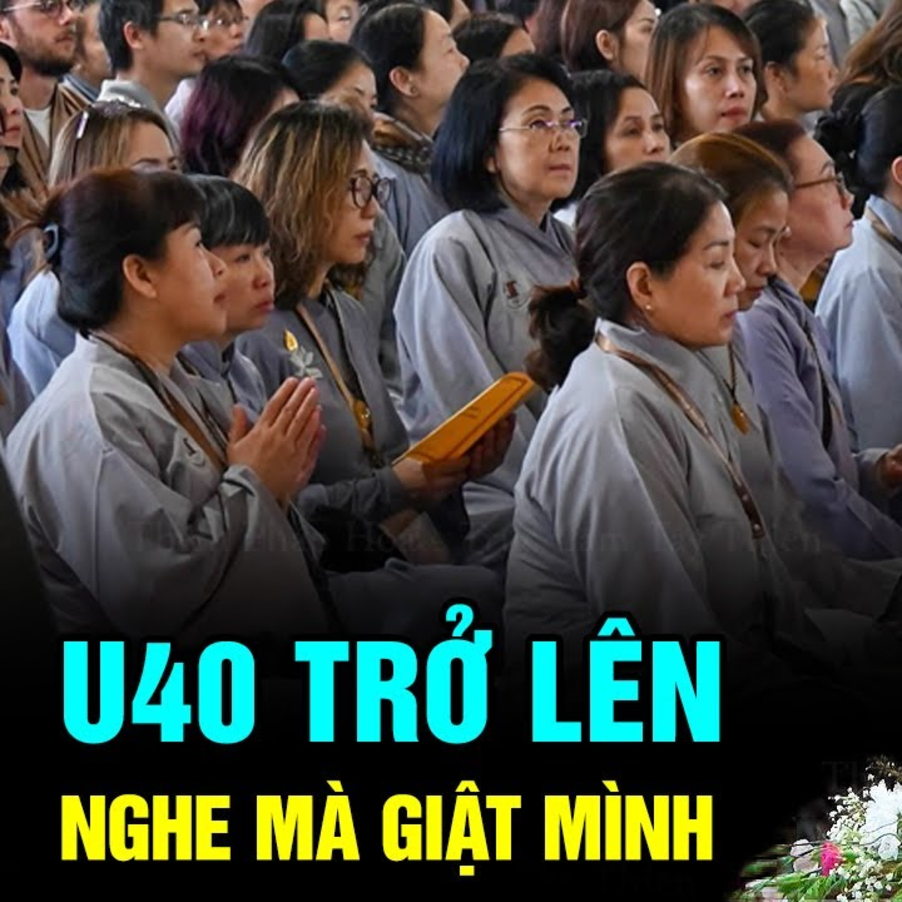 U40 trở lên nghe mà giật mình - Vấn Đáp Thầy Thích Pháp Hòa