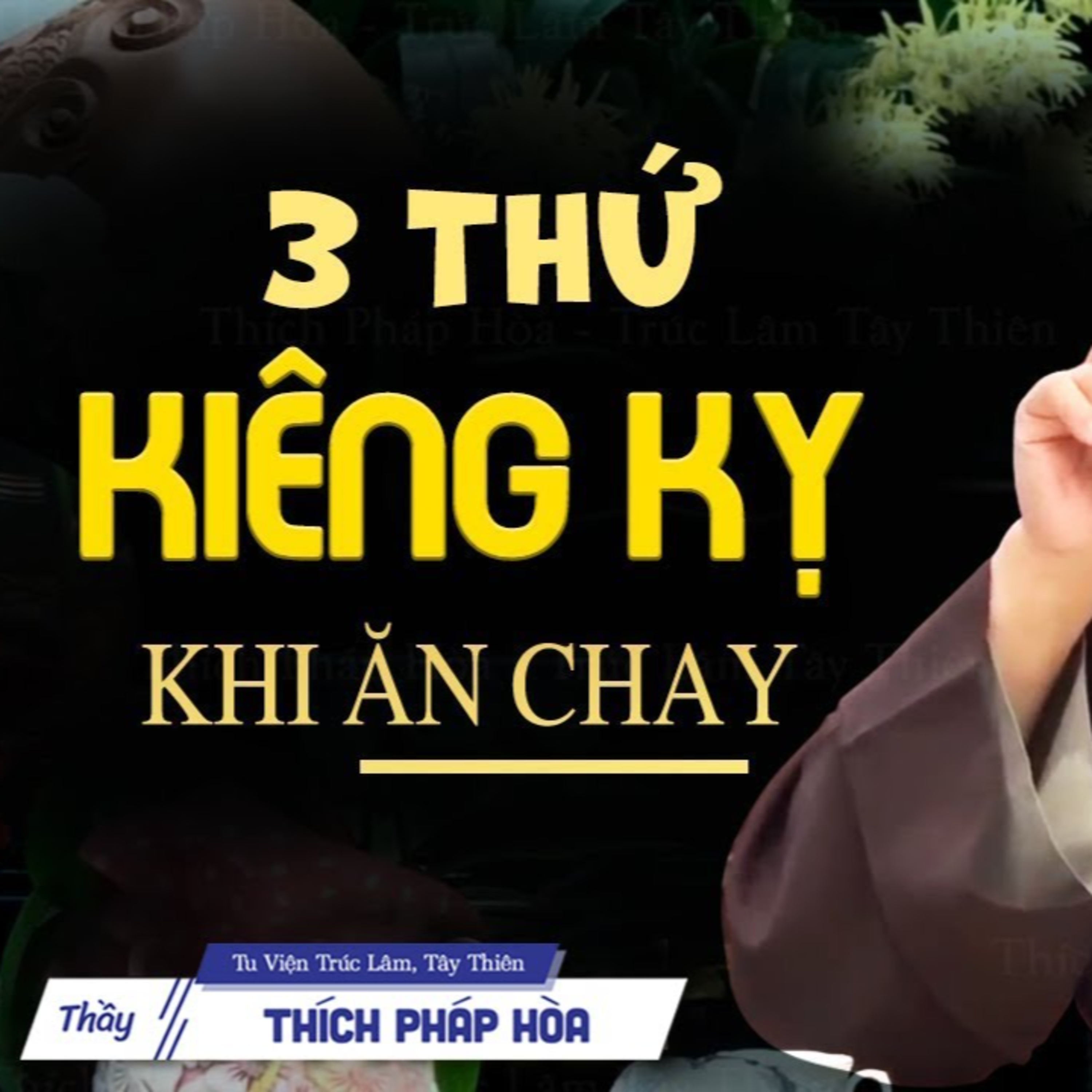 3 Thứ KIÊNG KỴ Khi Ăn Chay - Vấn Đáp Thầy Thích Pháp Hòa