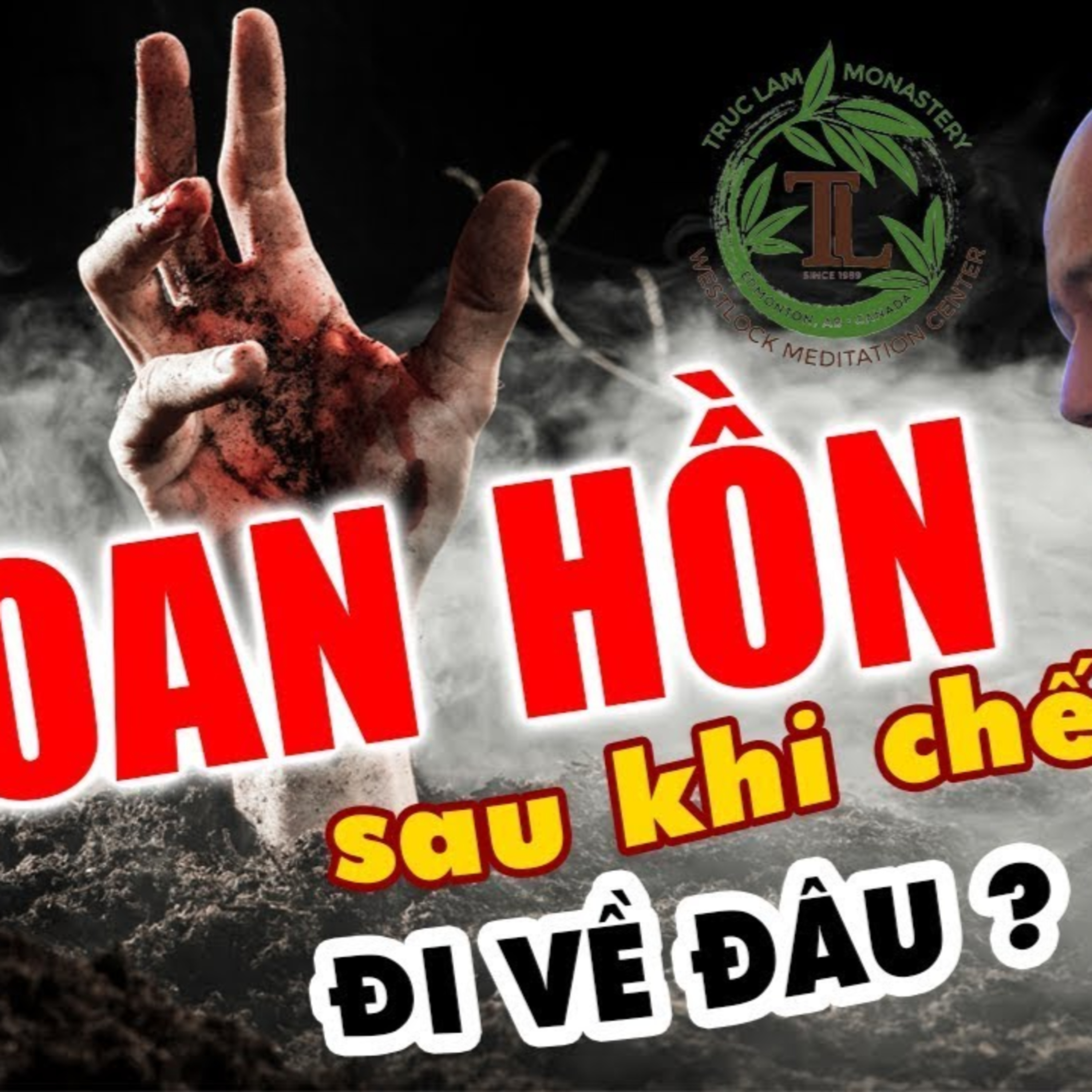Sau khi chết Hồn Sẽ Đi Về Đâu? Vấn đáp Thầy Thích Pháp Hoà (rất hay)