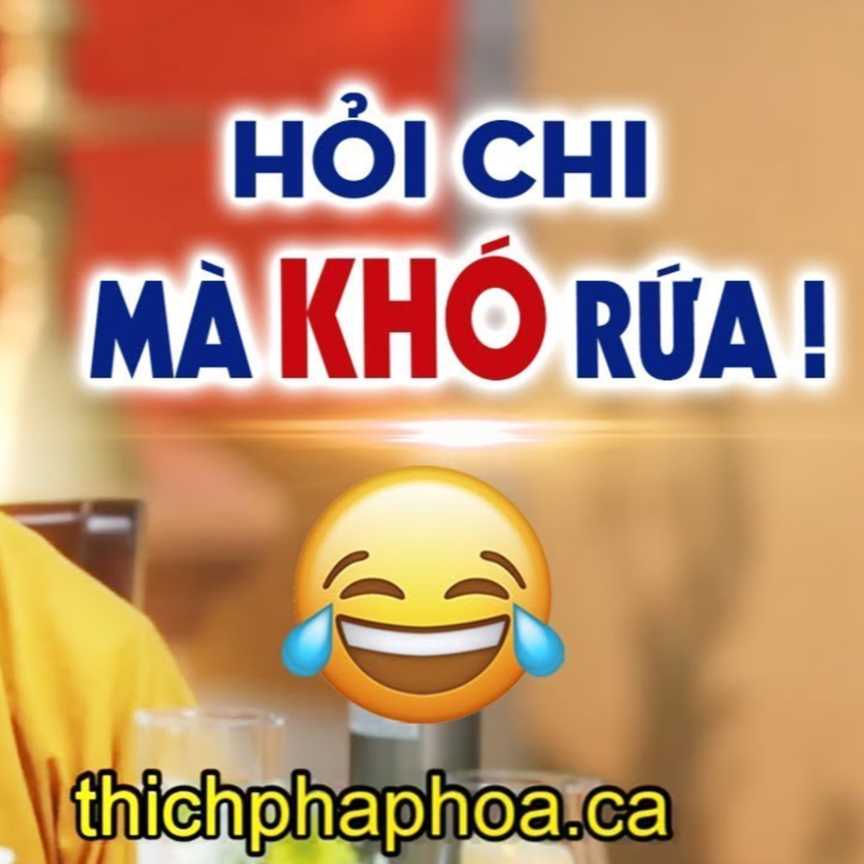 CƯỜI MỎI MIỆNG với những câu hỏi Vấn Đáp "Siêu Khó" liên tục được hỏi - Thầy Thích Pháp Hòa