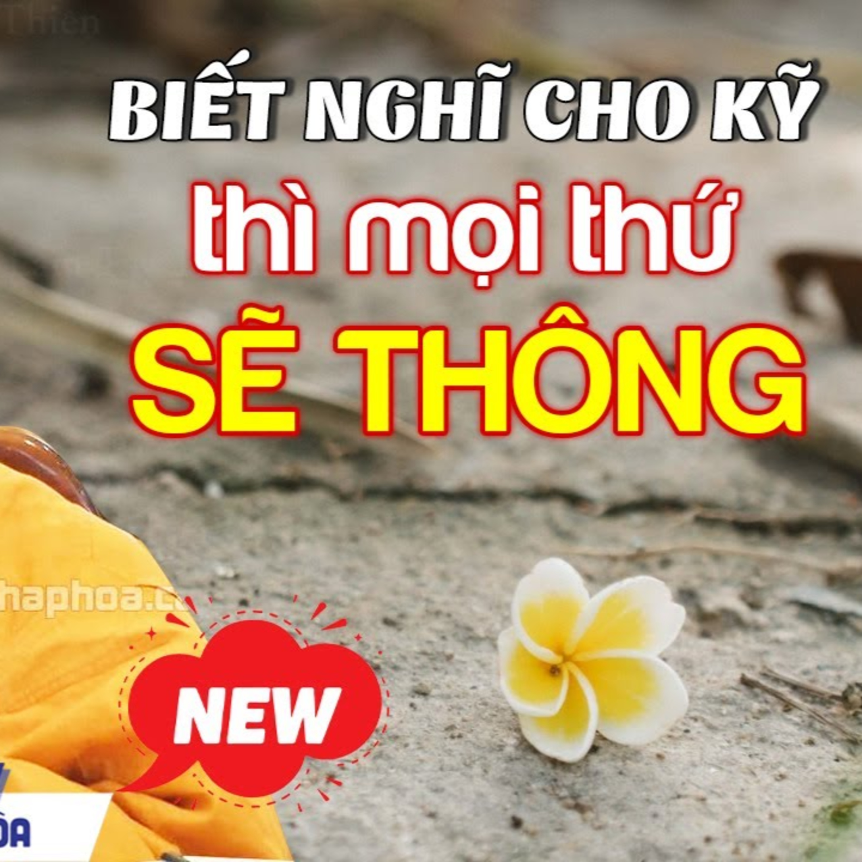 Biết nghĩ cho kĩ thì mọi thứ sẽ hanh thông - Thầy Thích Pháp Hòa