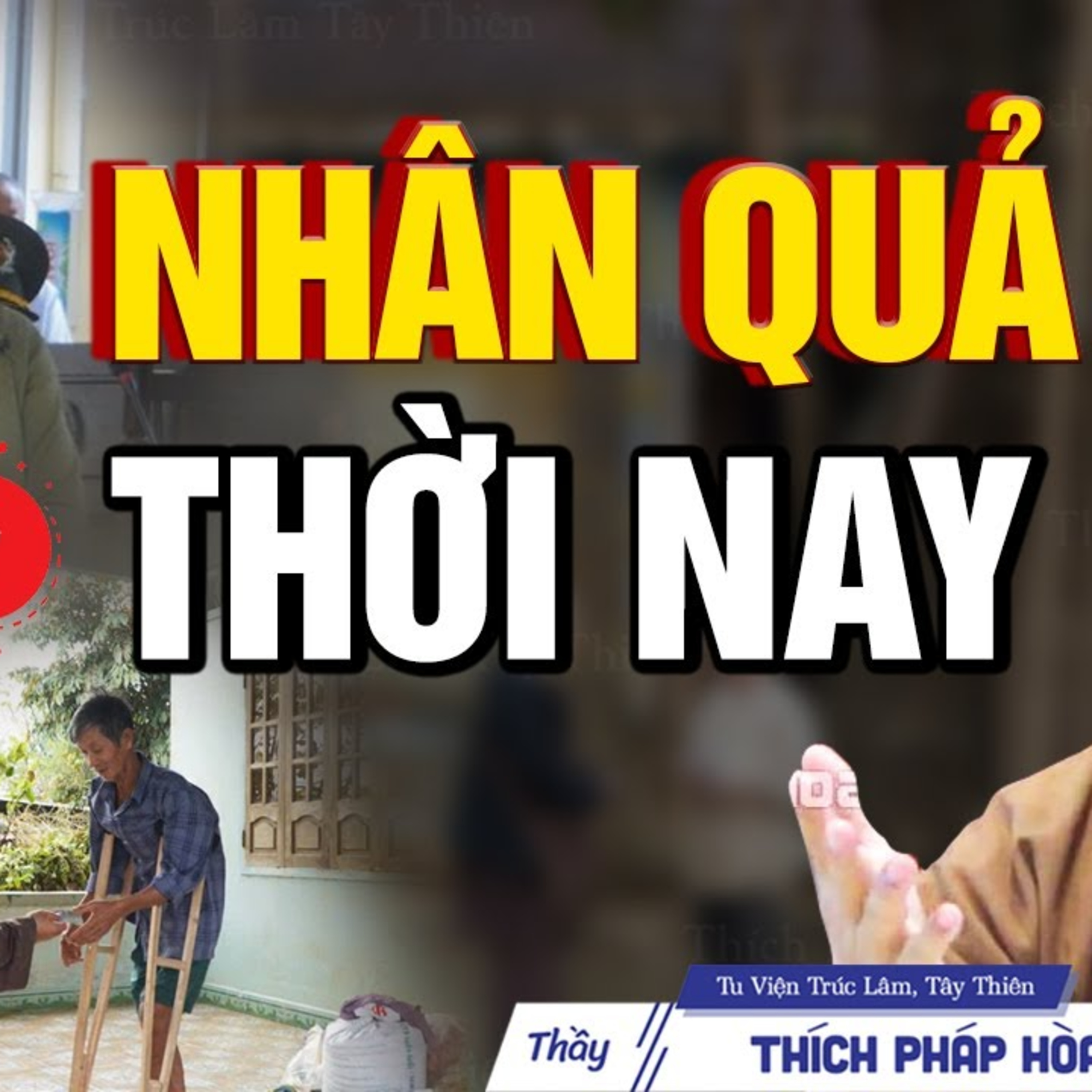 Chuyện nhân quả thời hiện đại - Thầy Thích Pháp Hòa (nghe mà thấm)