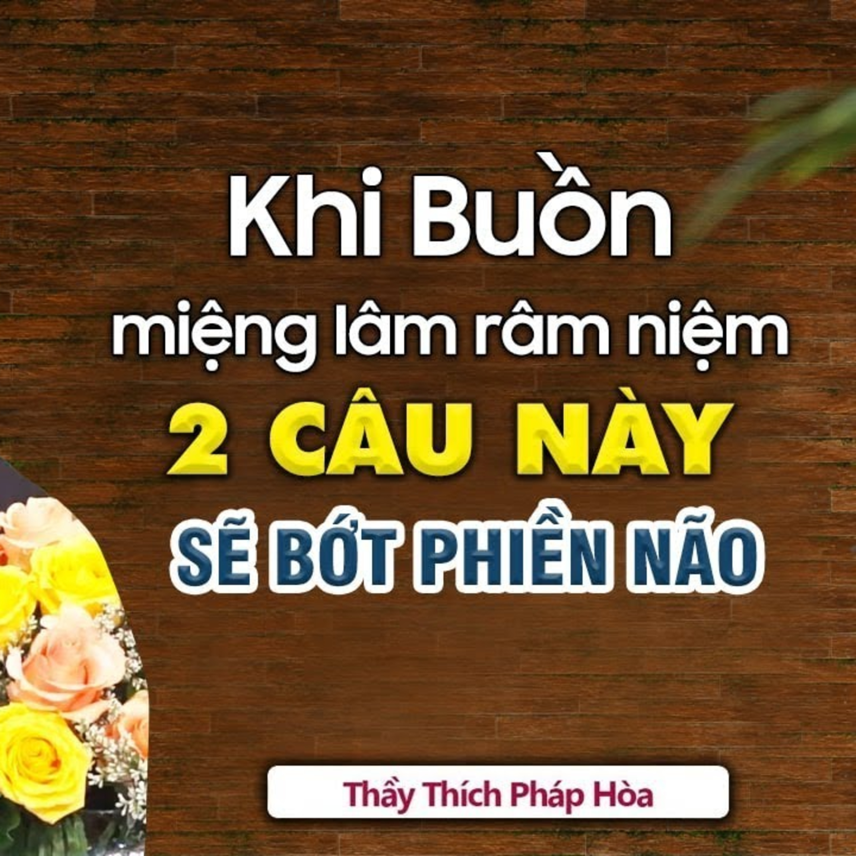 Khi Buồn miệng lâm râm đọc 2 Câu Này sẽ buông bớt được phiền não khổ đau - Thầy Thích Pháp Hòa