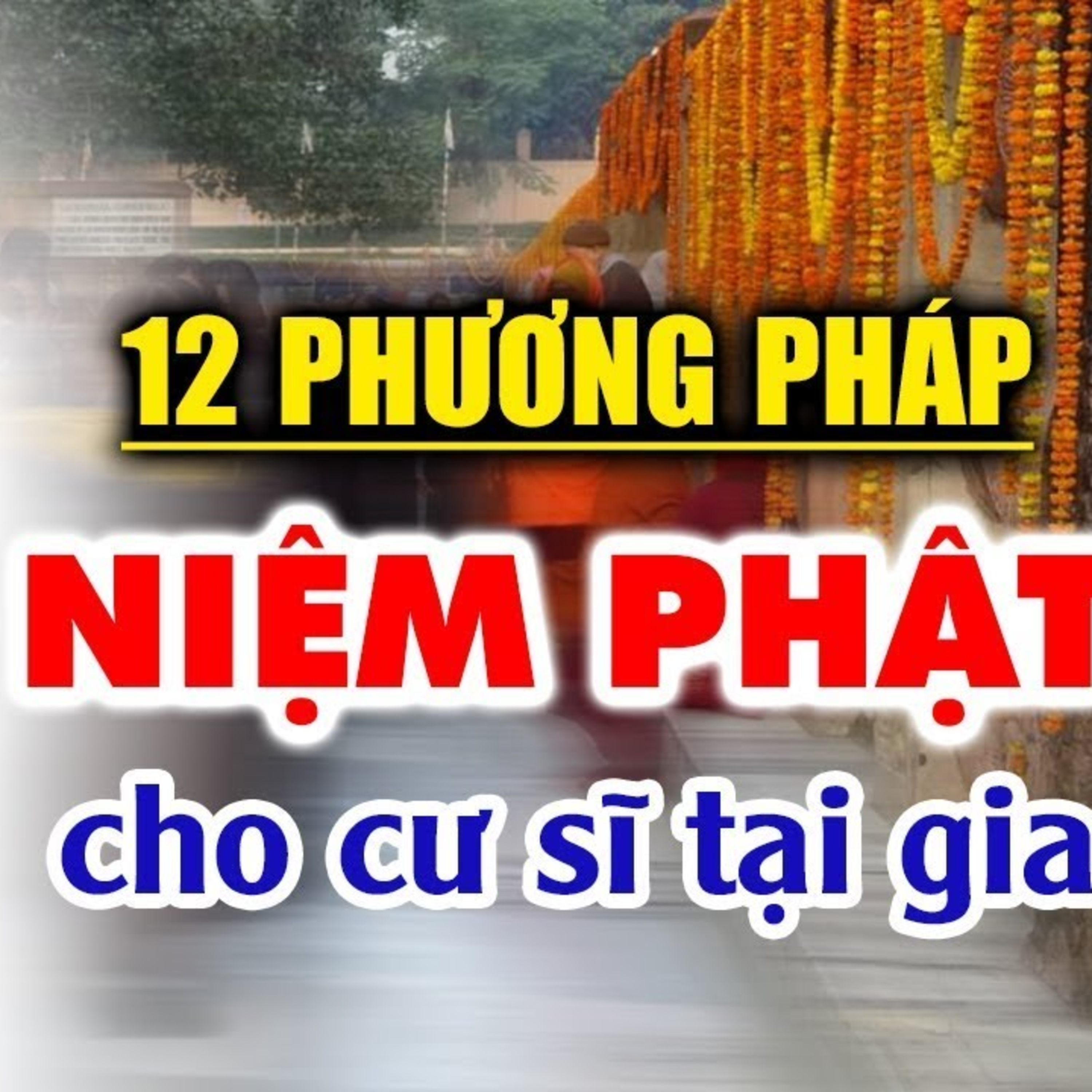 12 Phương Pháp Niệm Phật Cư Sĩ Tại Gia Cần Nên Biết, Rất Dễ Áp Dụng Tu Tập - Thầy Thích Pháp Hòa