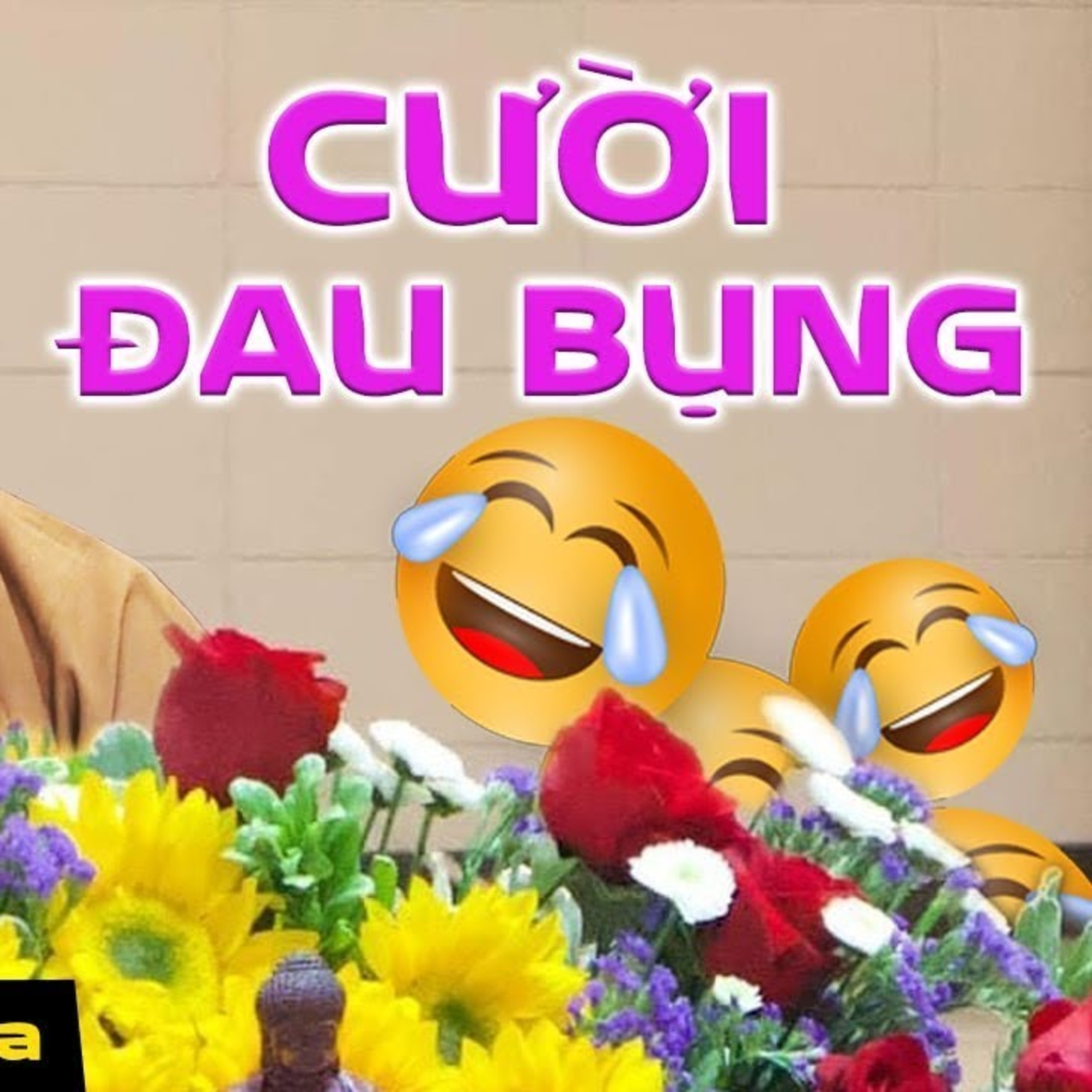 Vấn Đáp CHUYỆN TÌNH YÊU Cười Đau Bụng - Thầy Thích Pháp Hòa