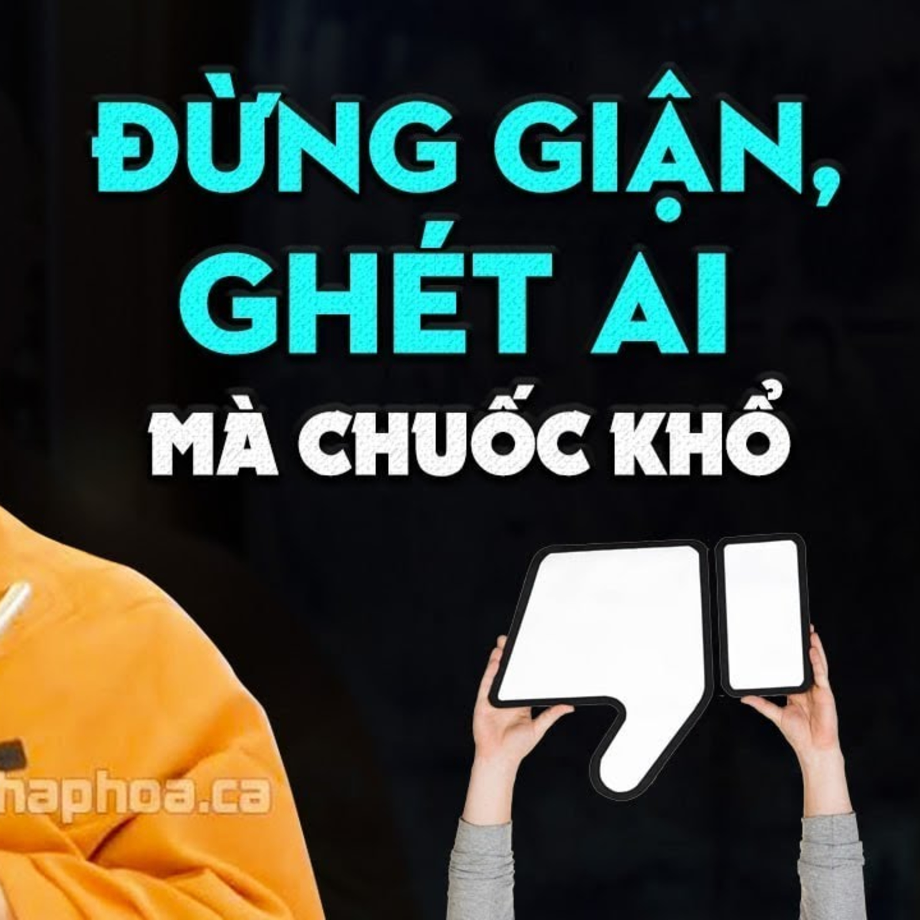 Oán ghét ai Đau Khổ sẽ trả ngược lại mình - Thầy Thích Pháp Hòa