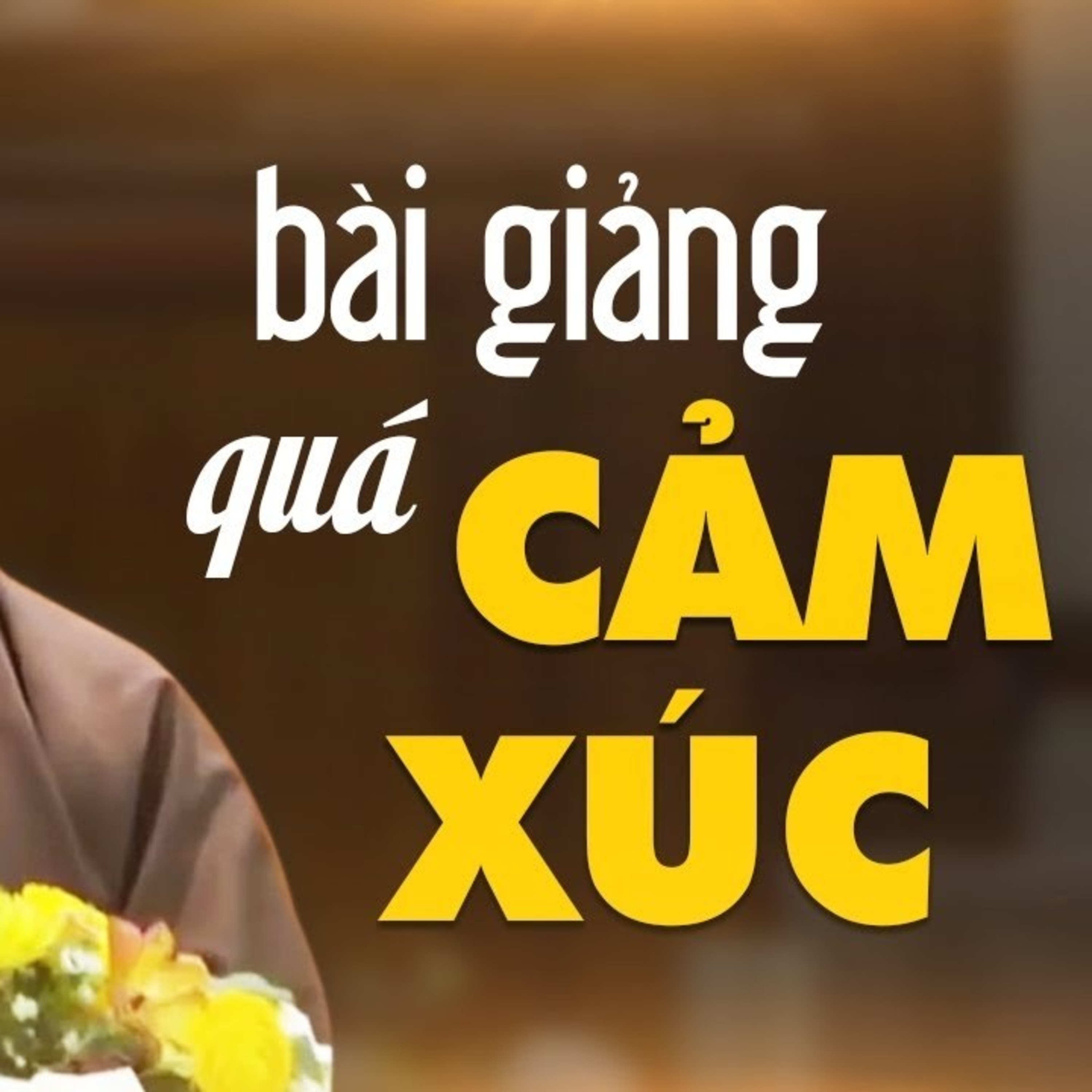 Suýt BẬT KHÓC vì Thầy giảng về Lòng Từ Bi rất hay, nghe thấm từng lời từng chữ - Thầy Thích Pháp Hòa