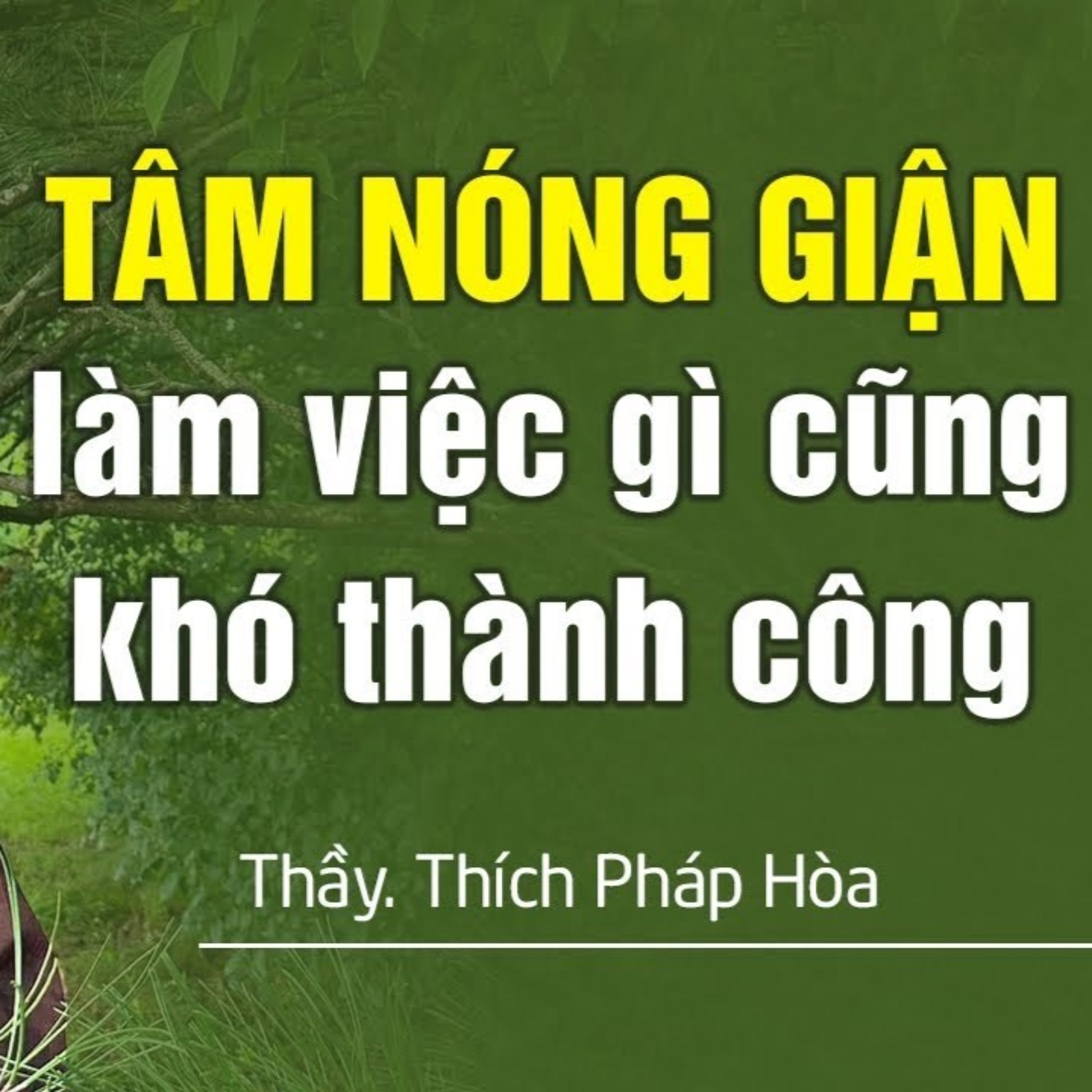 Người dễ nóng giận làm gì cũng khó thành công - Thầy Thích Pháp Hòa