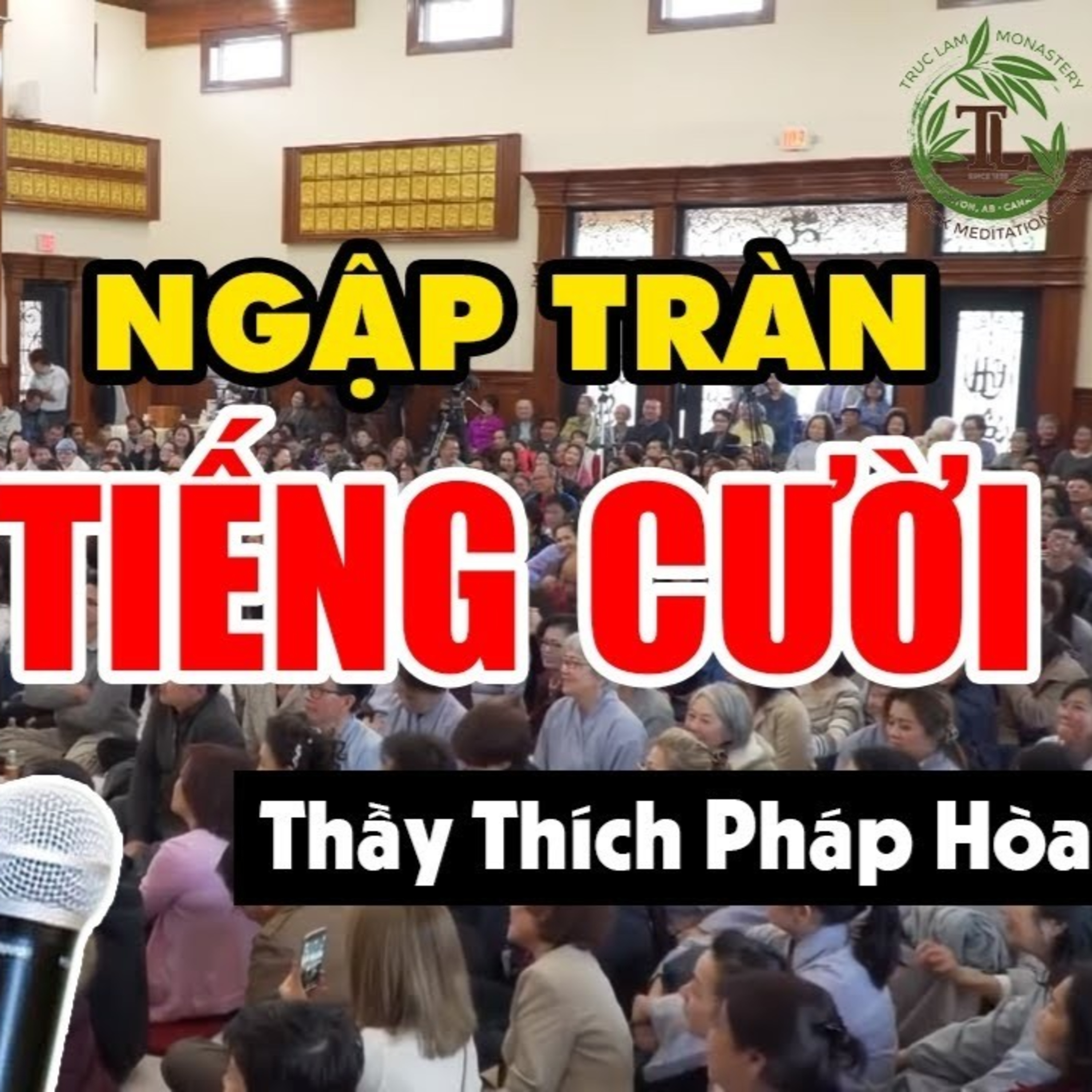 Vấn đáp CƯỜI MỆT NGHỈ cùng Thầy Pháp Hòa: Người Cõi Âm theo phá có thật không? (quá hay)