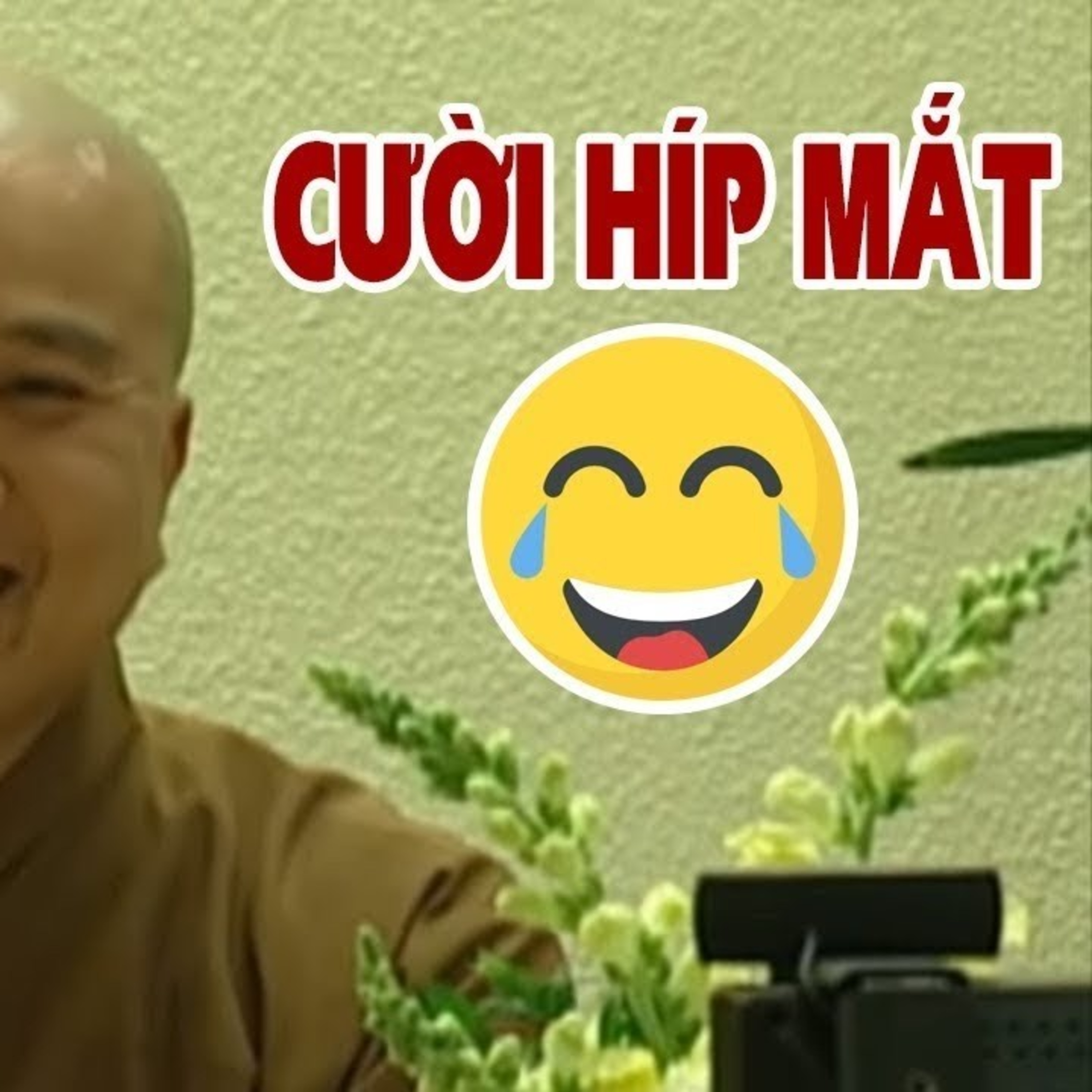 "Phật Tử mang đồ Chay về nhà ăn Không Chịu Trả Tiền" Câu Hỏi Rất Vui - Thầy Thích Pháp Hoà episode artwork