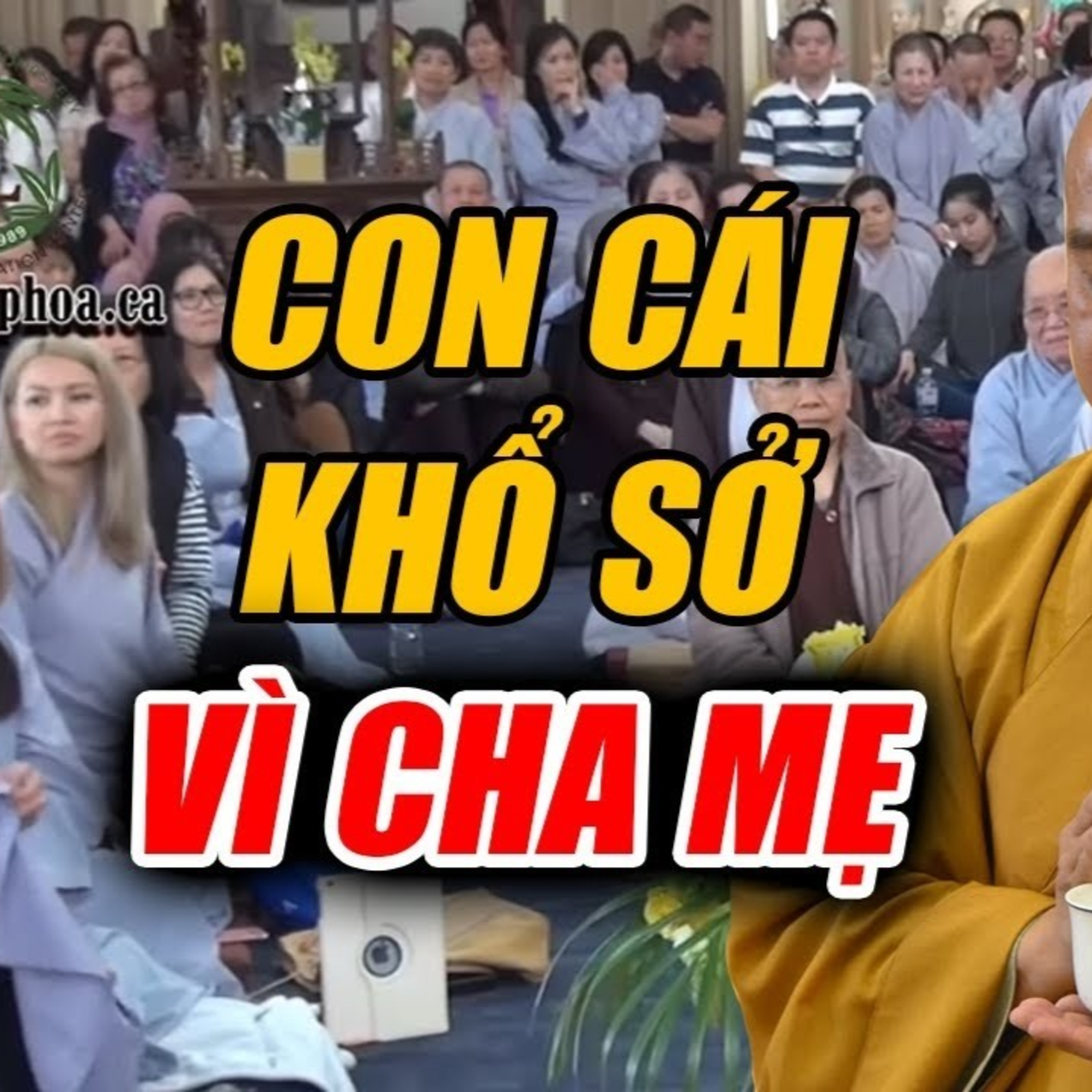 VẤN ĐÁP Con cái khổ sở vì cha mẹ gieo Khẩu Nghiệp - Thầy Thích Pháp Hòa episode artwork