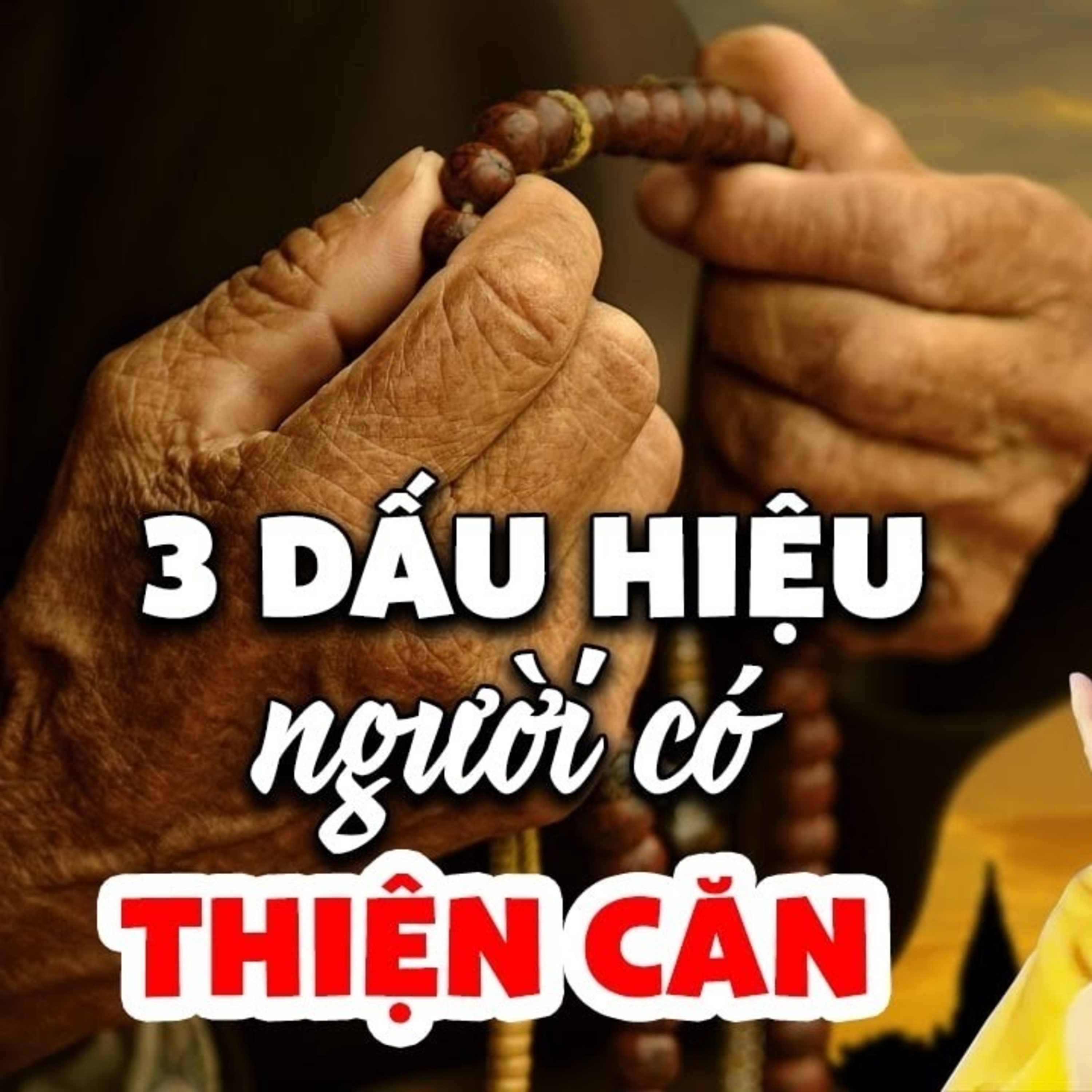 3 DẤU HIỆU người có Thiện Căn Phước Đức - Thầy Thích Pháp Hòa episode artwork