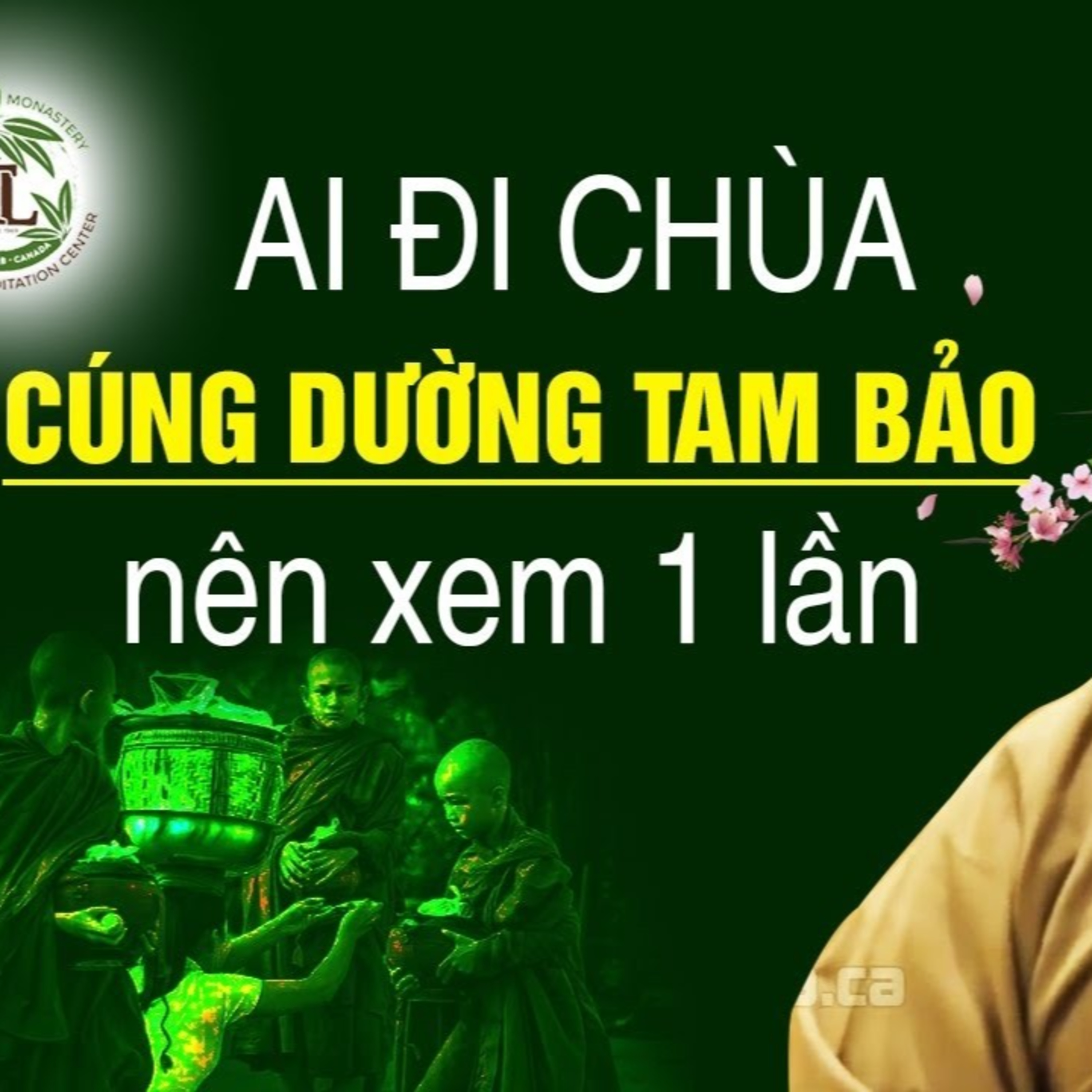 Ai thường đi chùa Cúng Dường Tam Bảo nên xem qua bài giảng này 1 lần - Thầy Thích Pháp Hòa