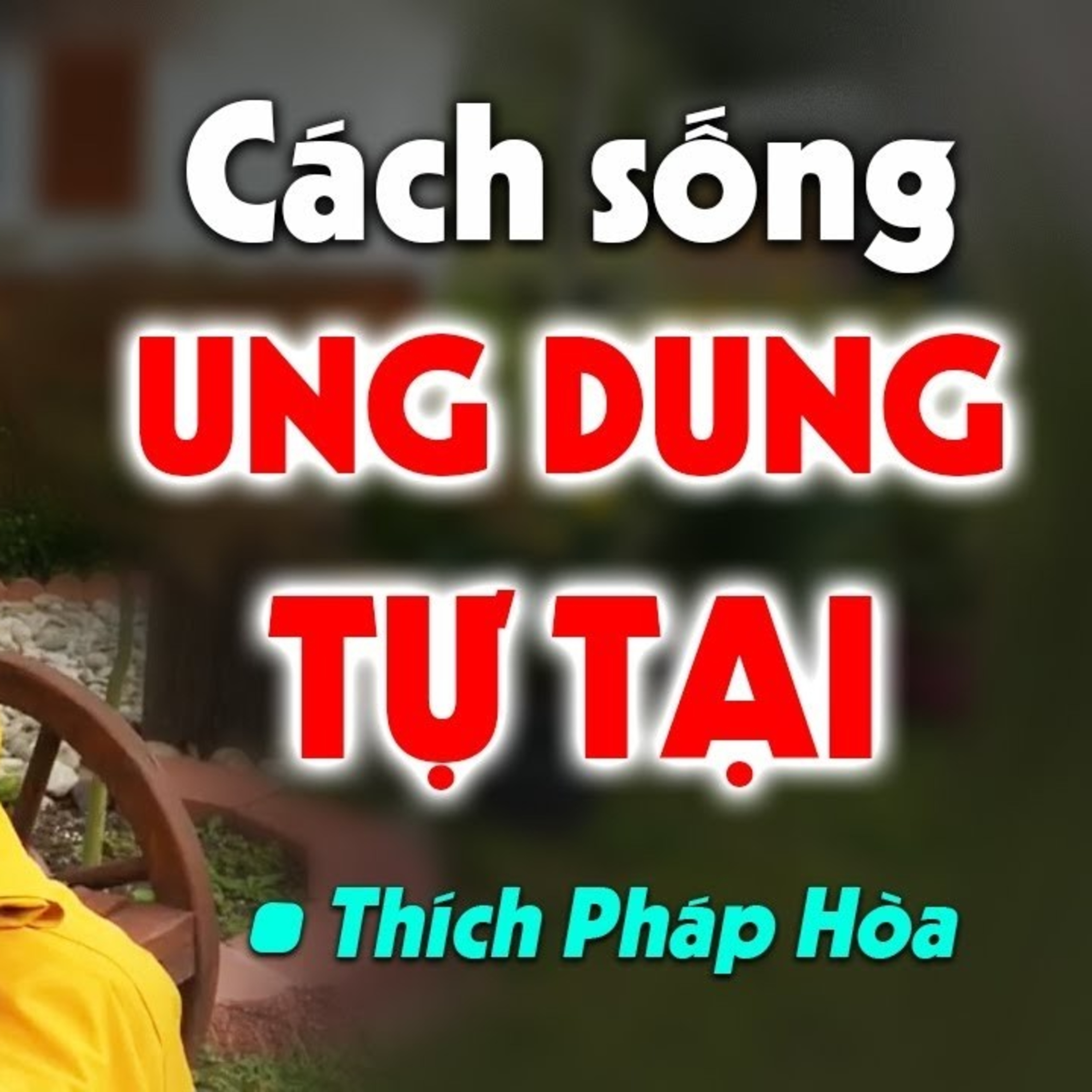 Cách Sống để tâm trí luôn được Thanh Thản, đời Ung Dung Tự Tại bớt sầu lo - Thầy Thích Pháp Hòa