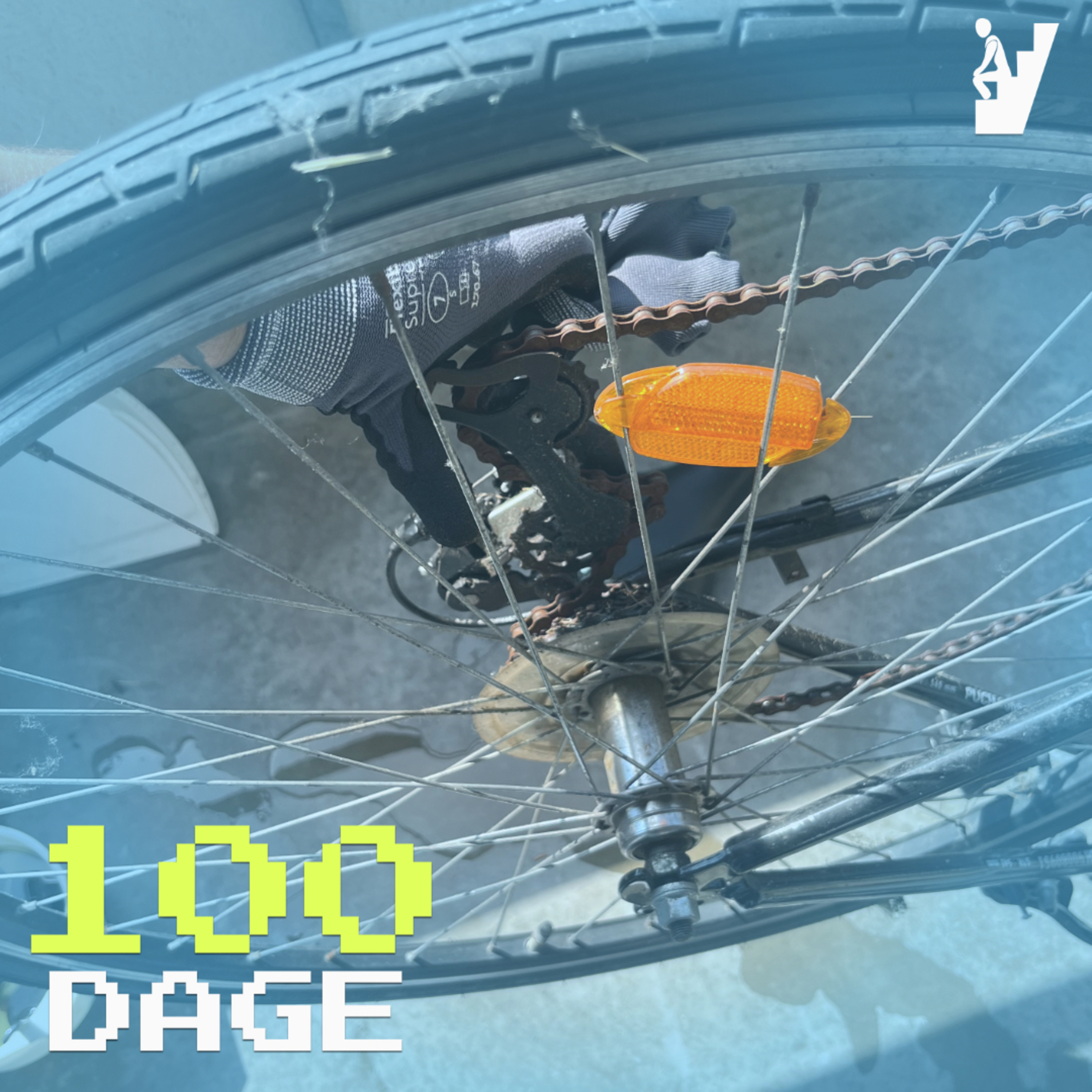 100 DAGE