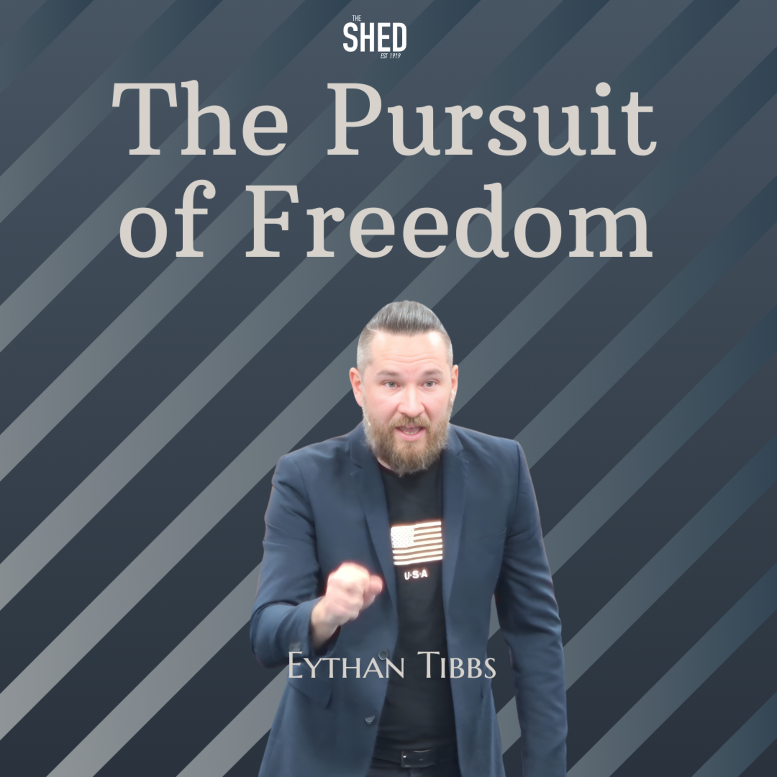 The Pursuit of Freedom episode artwork