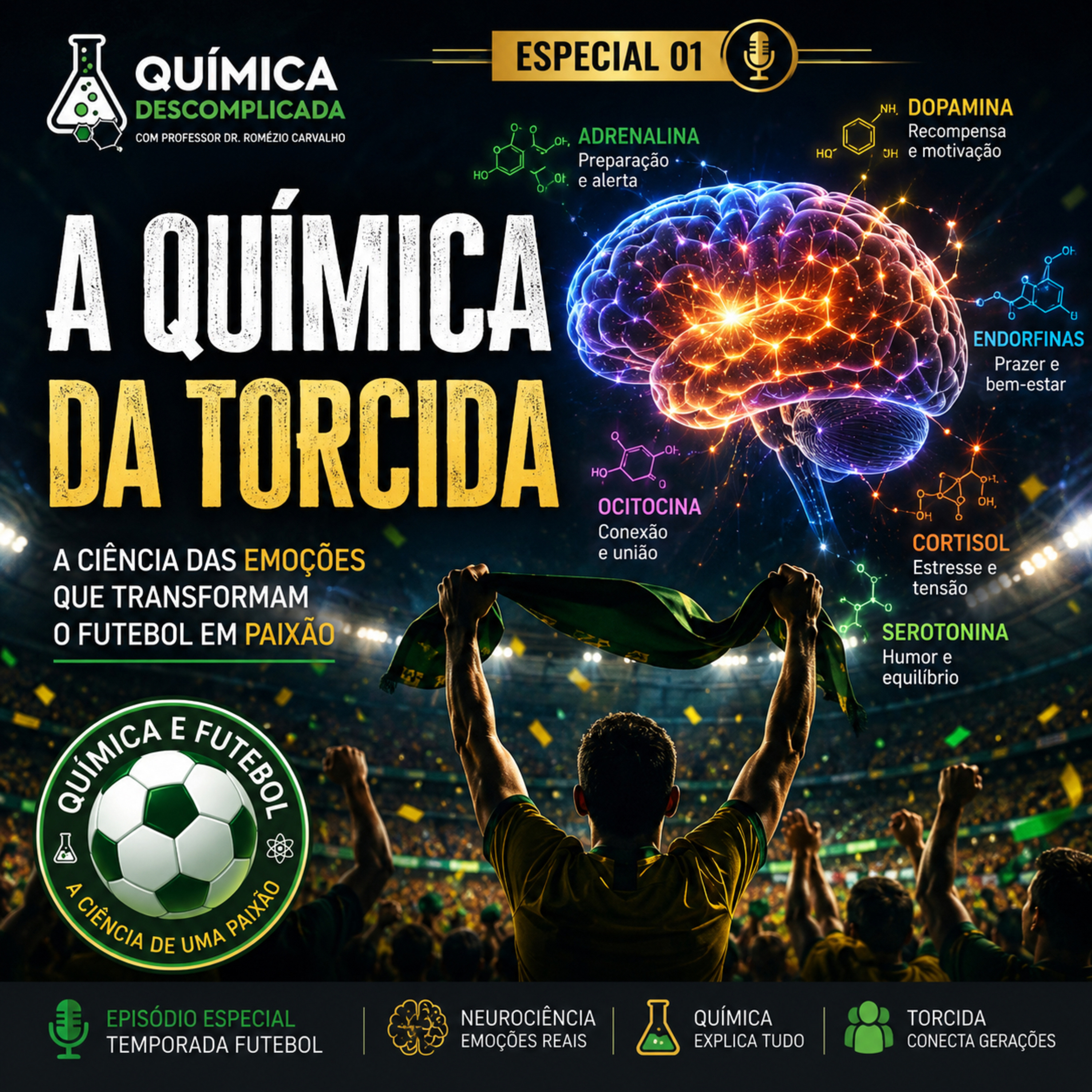 🎙️ESPECIAL - A Química da Torcida: O que acontece no cérebro de um torcedor? episode artwork