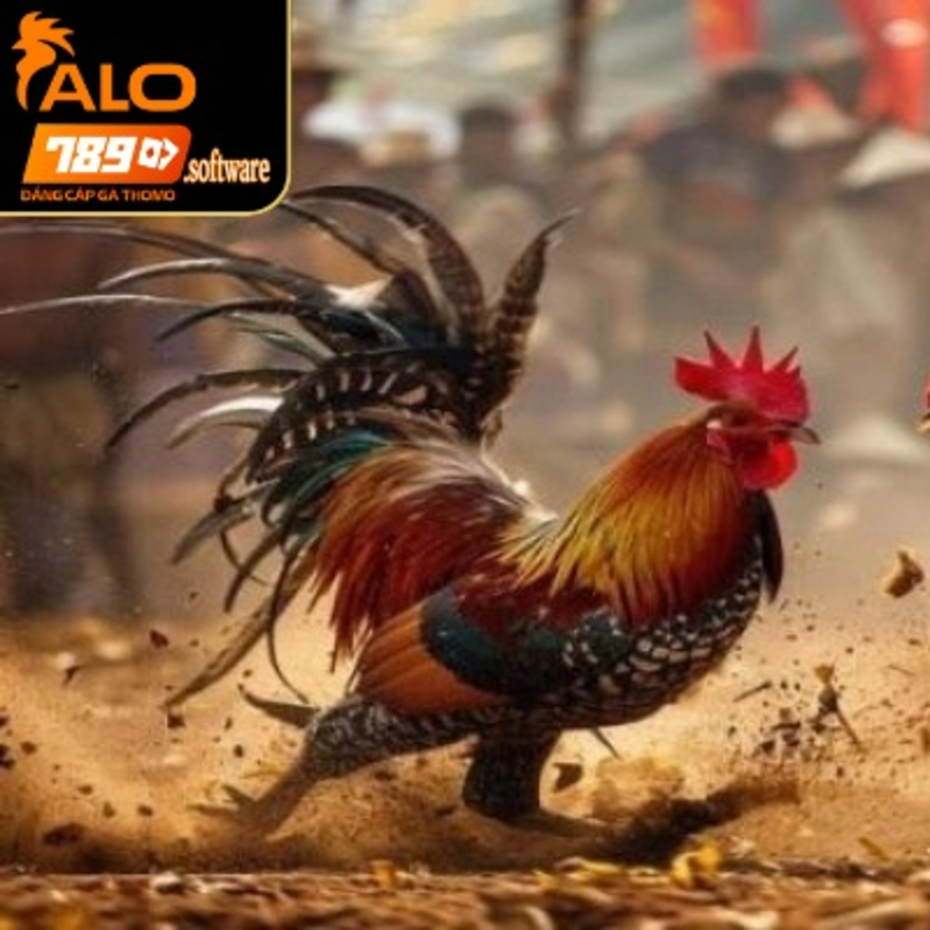 ALO789
