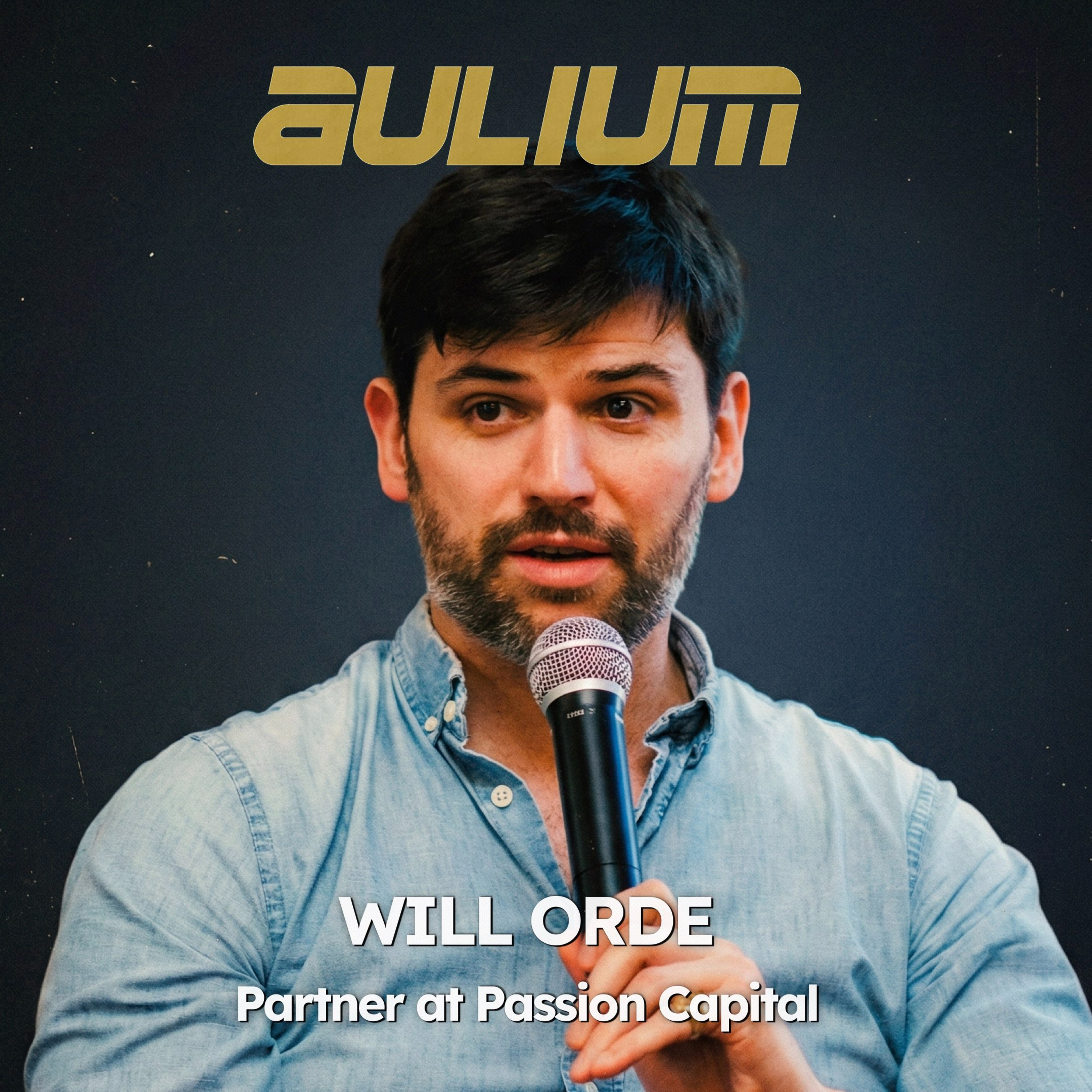 Innovation and Private Capital x aulium